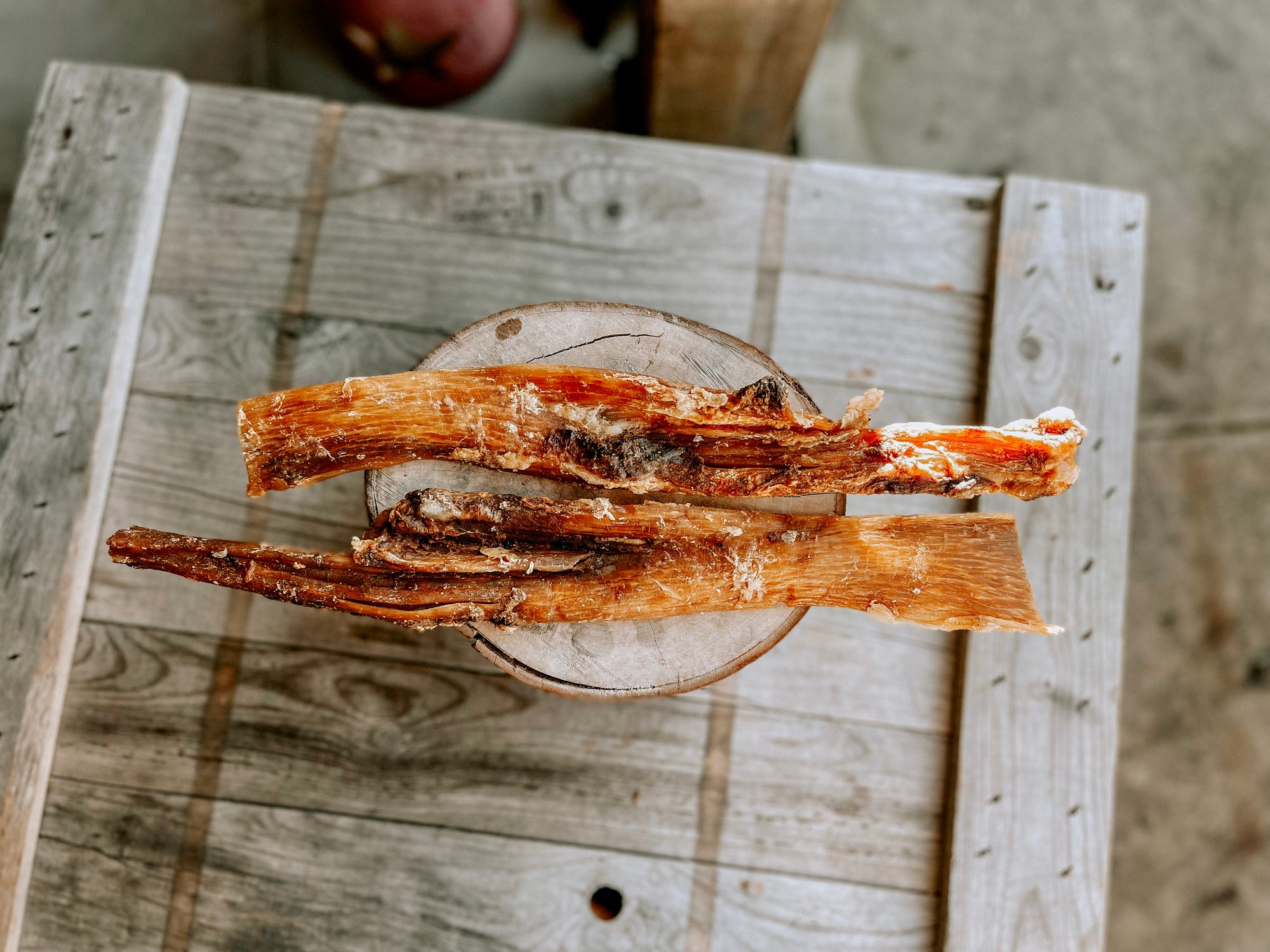 Giant Paddywhack - Bodhi & The Birchtree