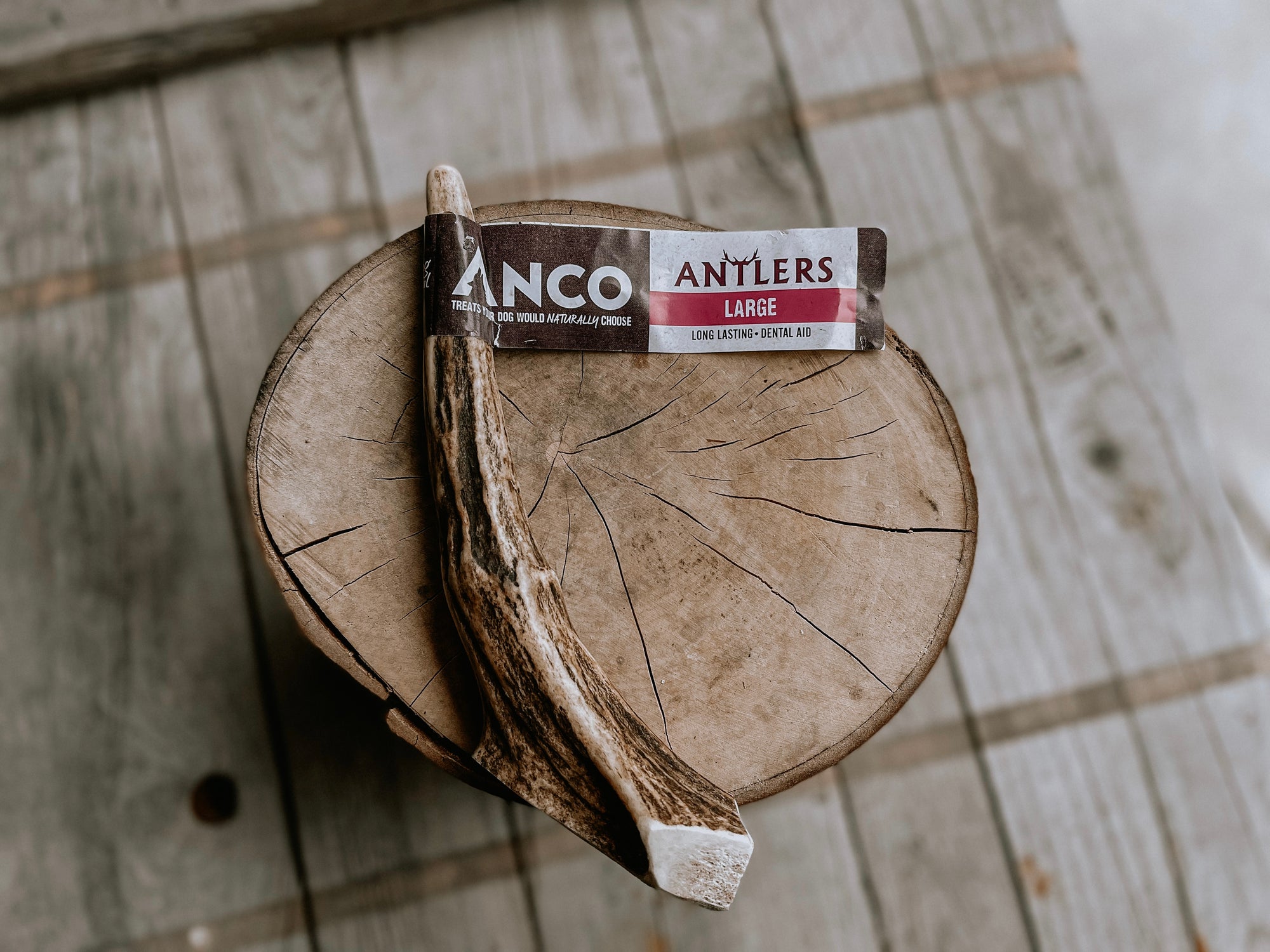 Anco Large dog antler available on Bodhi & The Birchtree