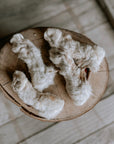 Rabbits Feet - Bodhi & The Birchtree