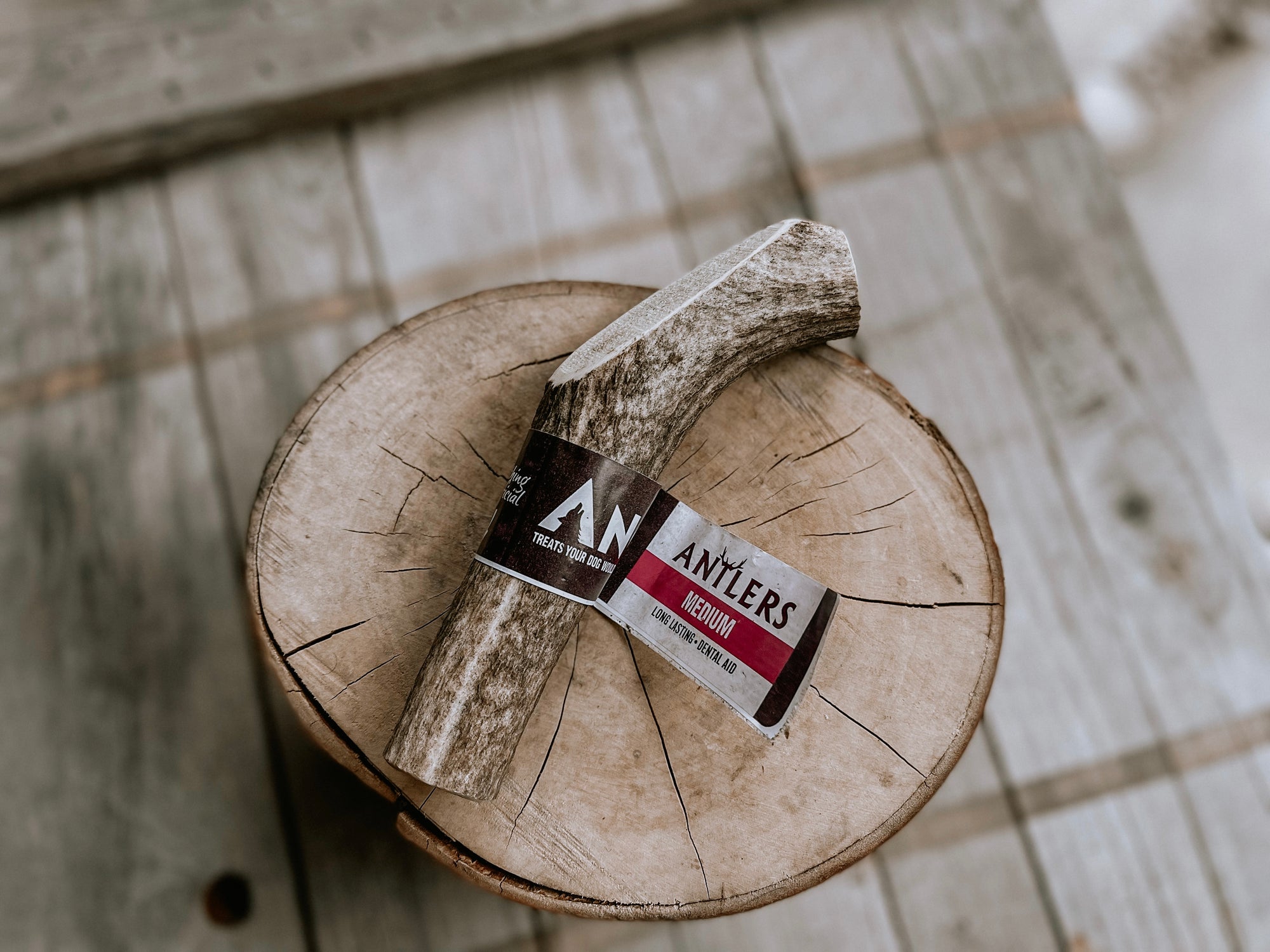 Anco medium dog antler available at Bodhi & The Birchtree