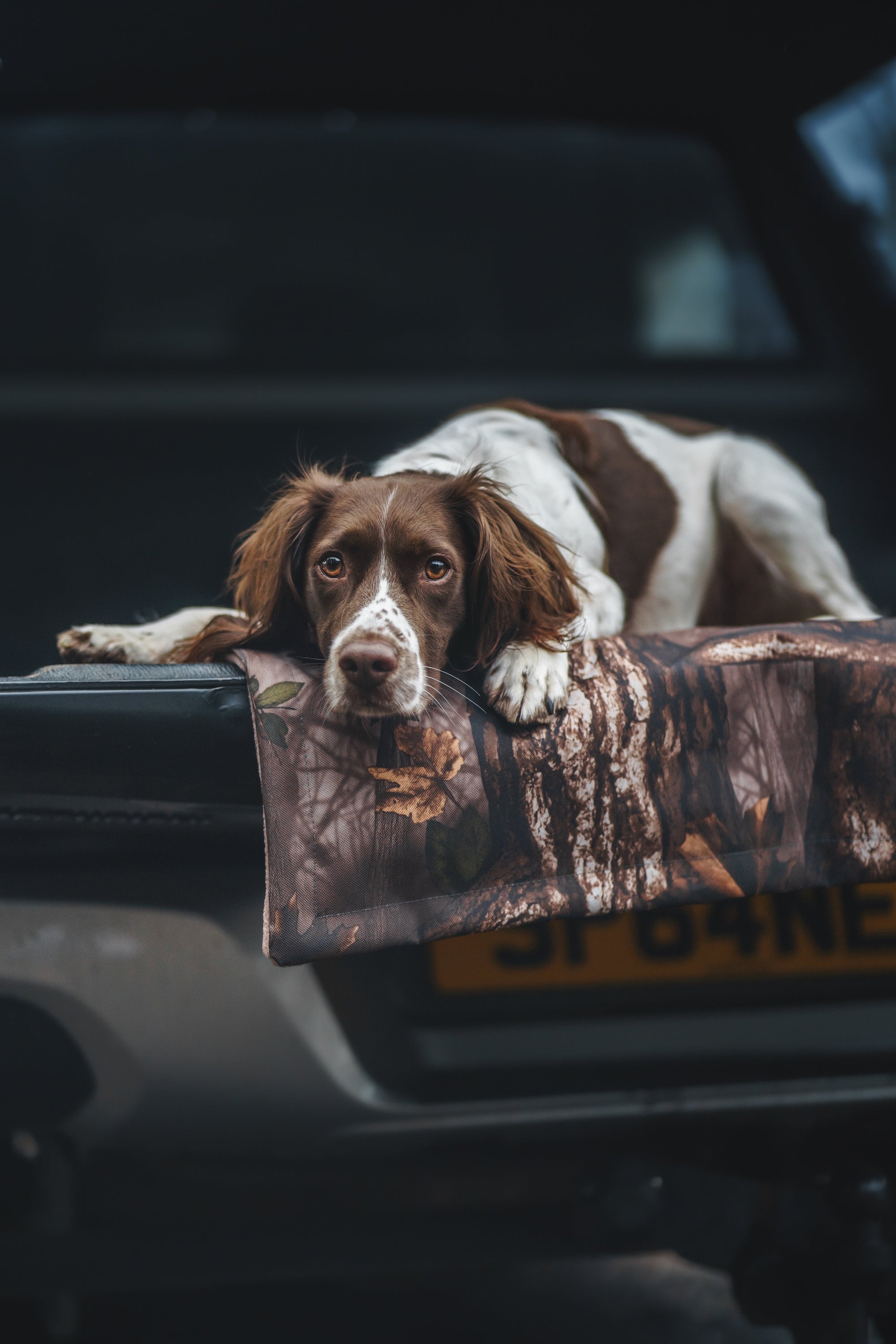 Bodhi & The Birchtree Waterproof Boot Blankets