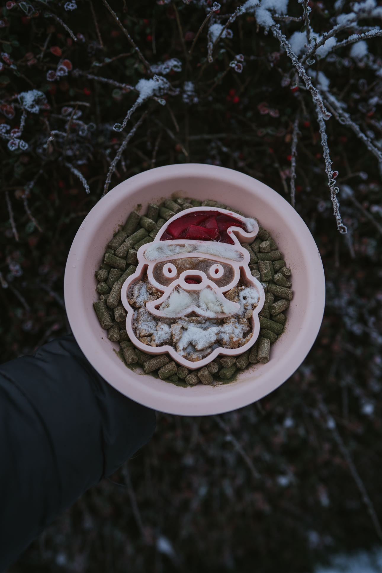 Festive Santa Dual Slow Feeder/Lick Mat Bowl - Bodhi & The Birchtree
