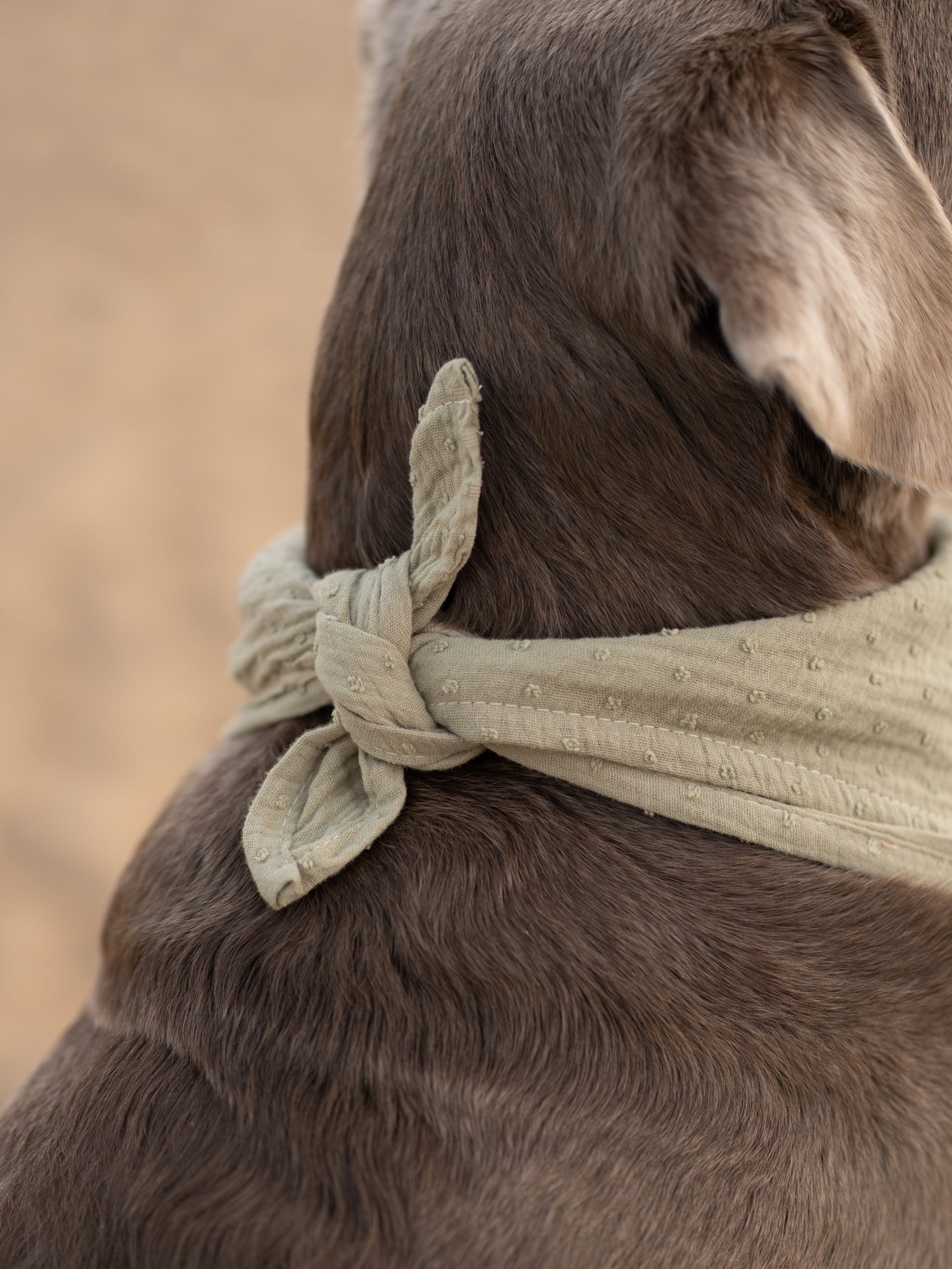 Olive Green Summer Cooling Bandana - Bodhi & The Birchtree