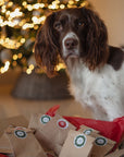 Pre-Order Bodhi & The Birchtree Christmas Advent Calendar