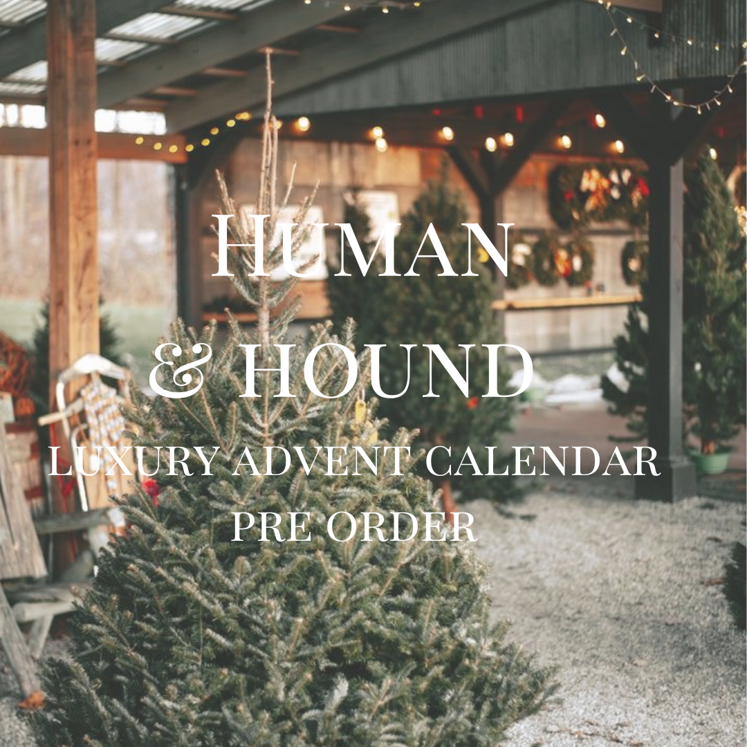 Pre-Order Bodhi & The Birchtree Human and Hound Christmas Advent Calendar - Bodhi & The Birchtree