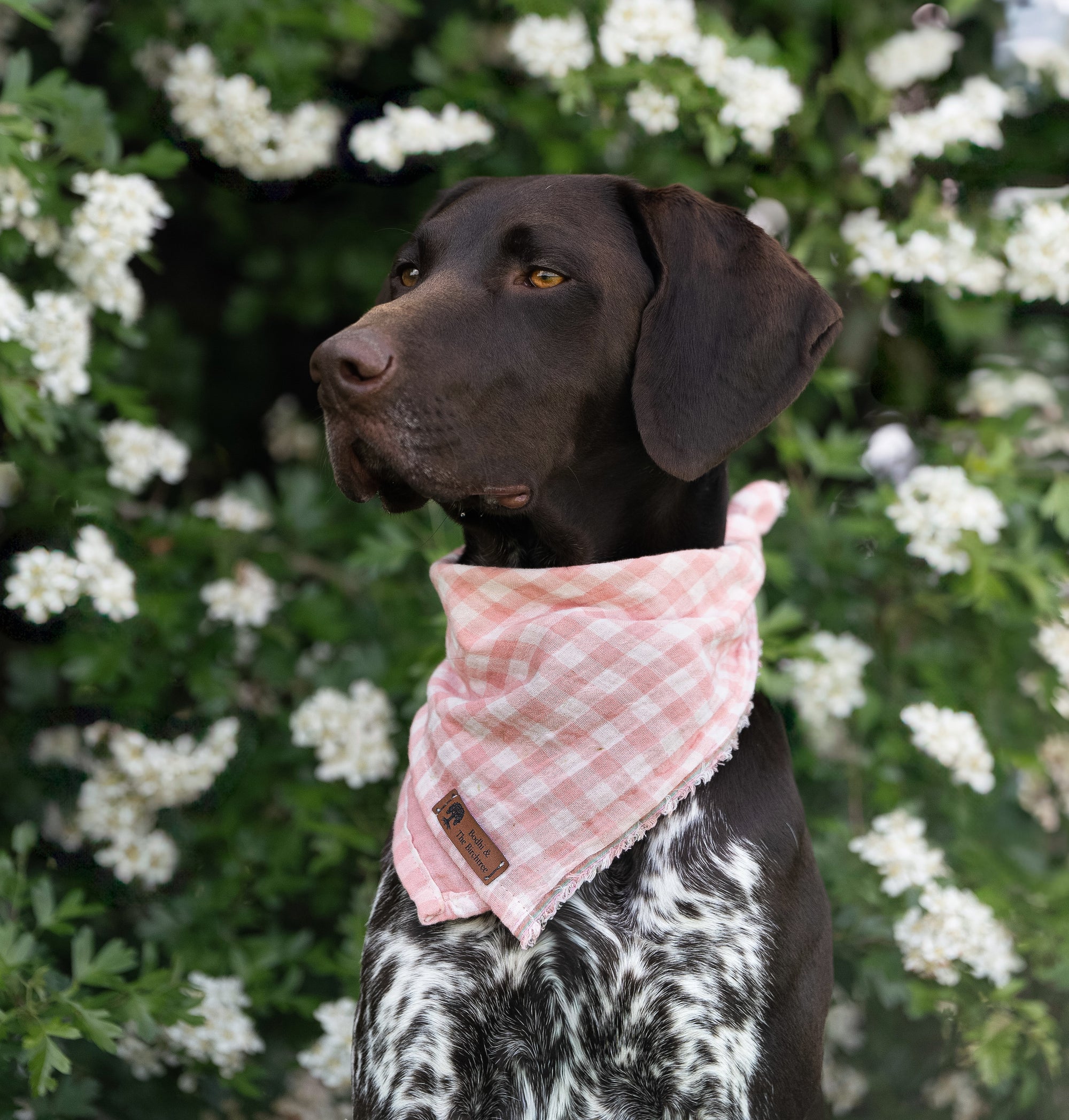 Pink Gingham Summer Cooling Bandana - Bodhi & The Birchtree