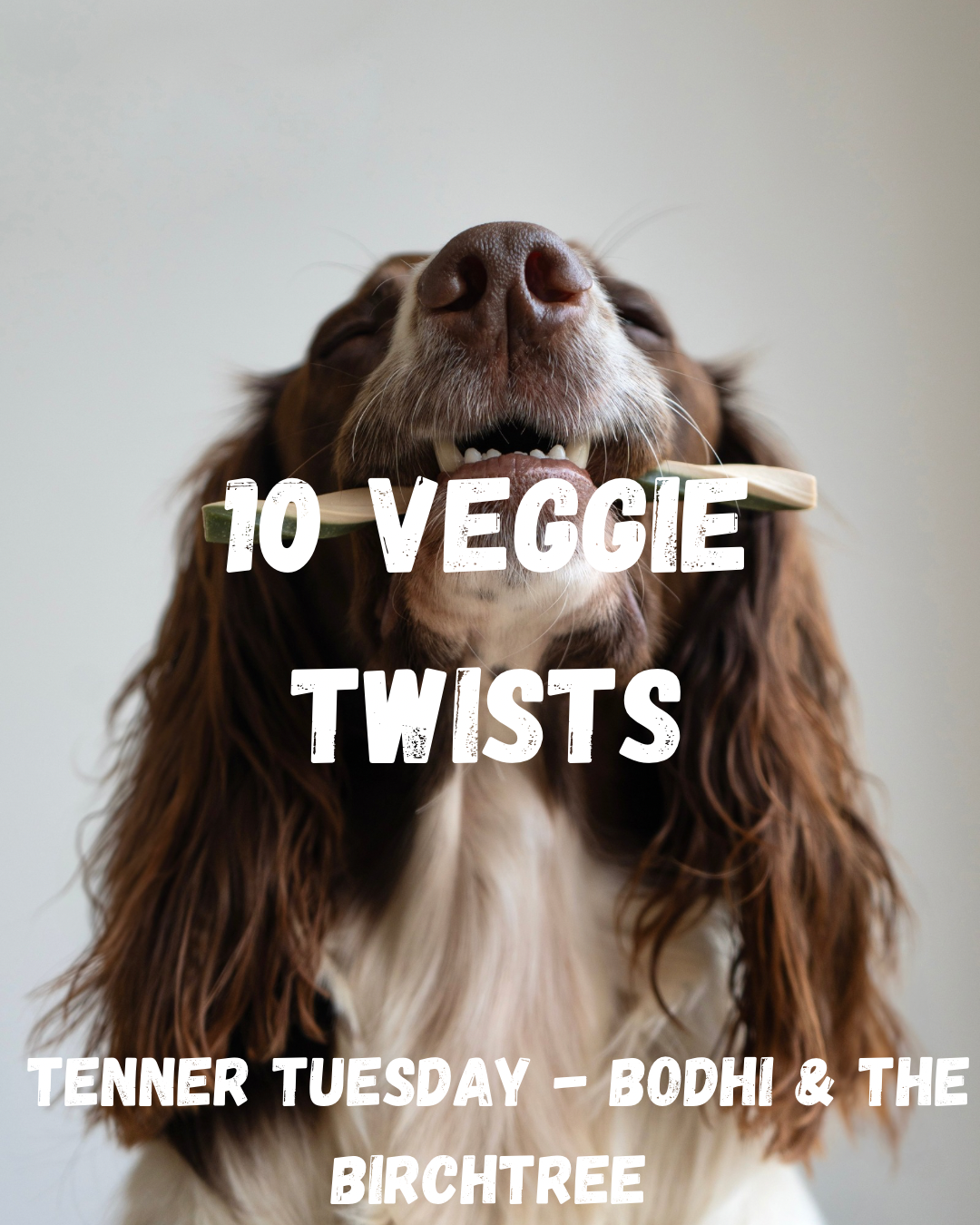 X10 Veggie Twists - Fiver Friday - Bodhi & The Birchtree