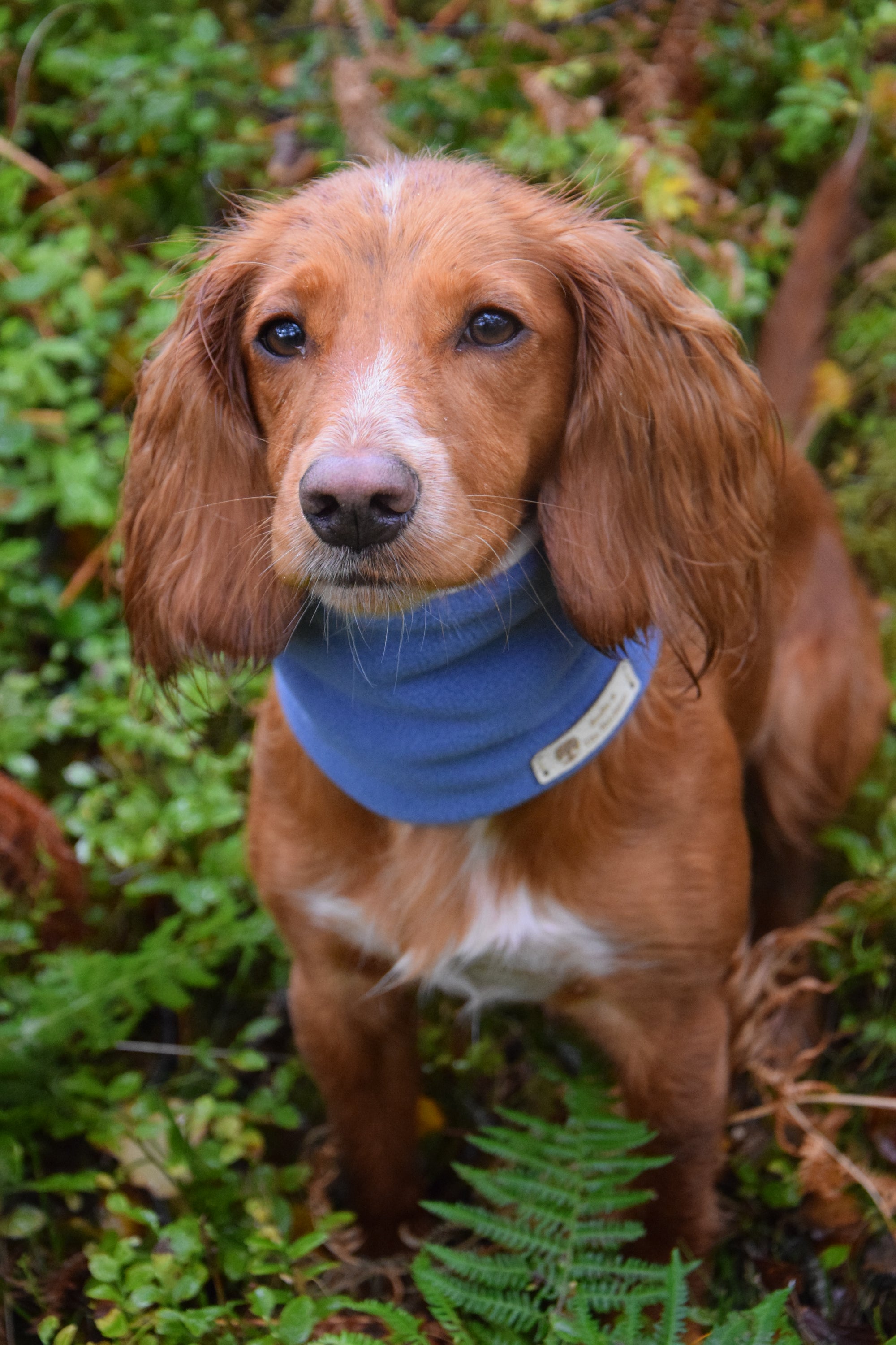 Bodhi & The Birchtree Airforce Blue & Cream Polar Fleece Snood - Bodhi & The Birchtree