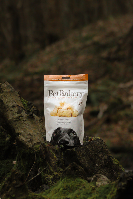 Pet Bakery Tasty Chicken Mini Bones - Bodhi & The Birchtree