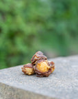 Egg Yolk Wrapped In Duck - Bodhi & The Birchtree