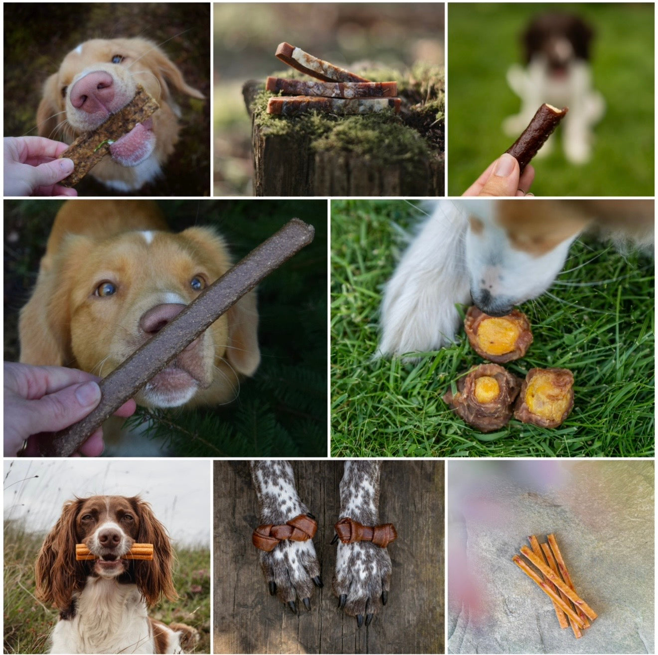 Soft Chewy Bundle - Fiver Friday - Bodhi & The Birchtree