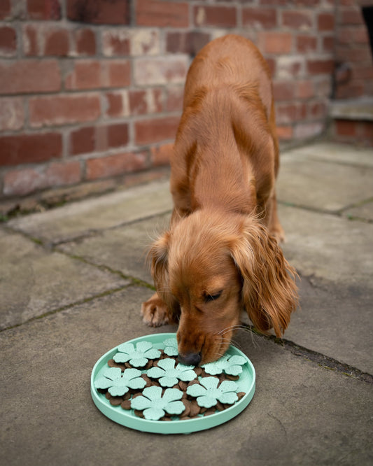 Dog Enrichment Snuffle Honeycomb Puzzle Toy