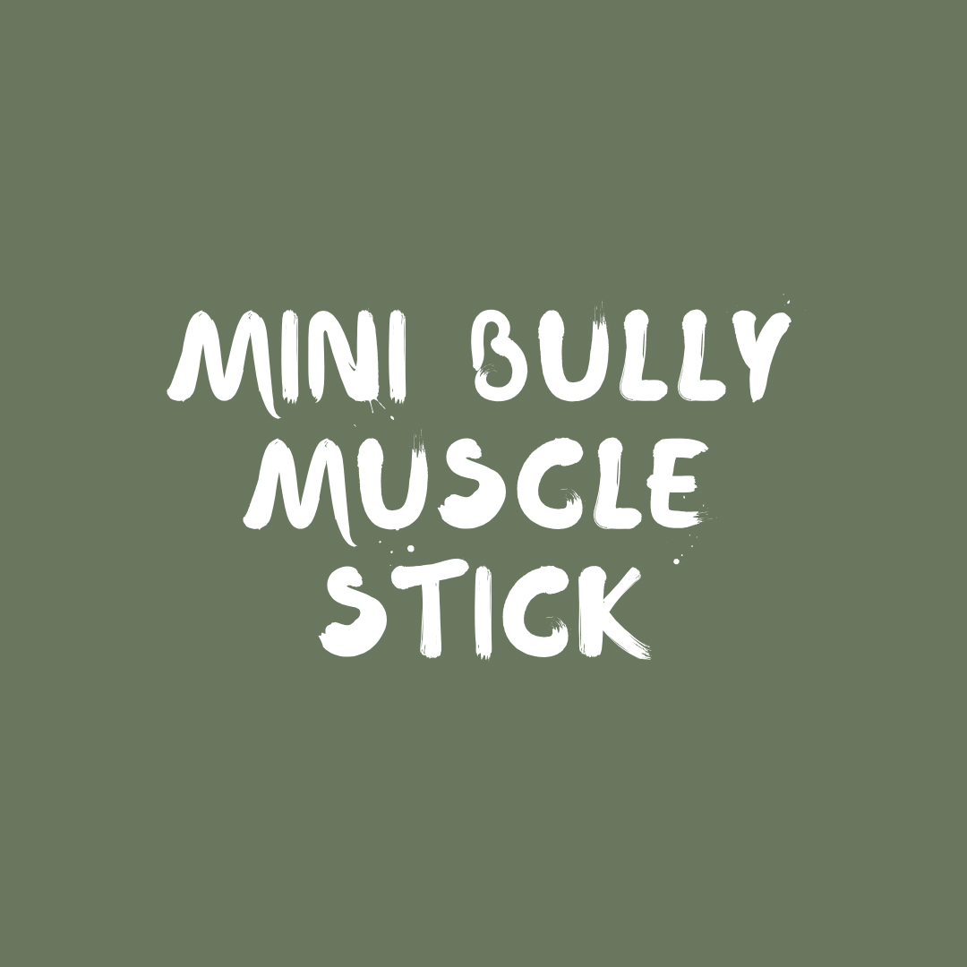 Mini Bully Muscle Stick Offcut - Bodhi &amp; The Birchtree