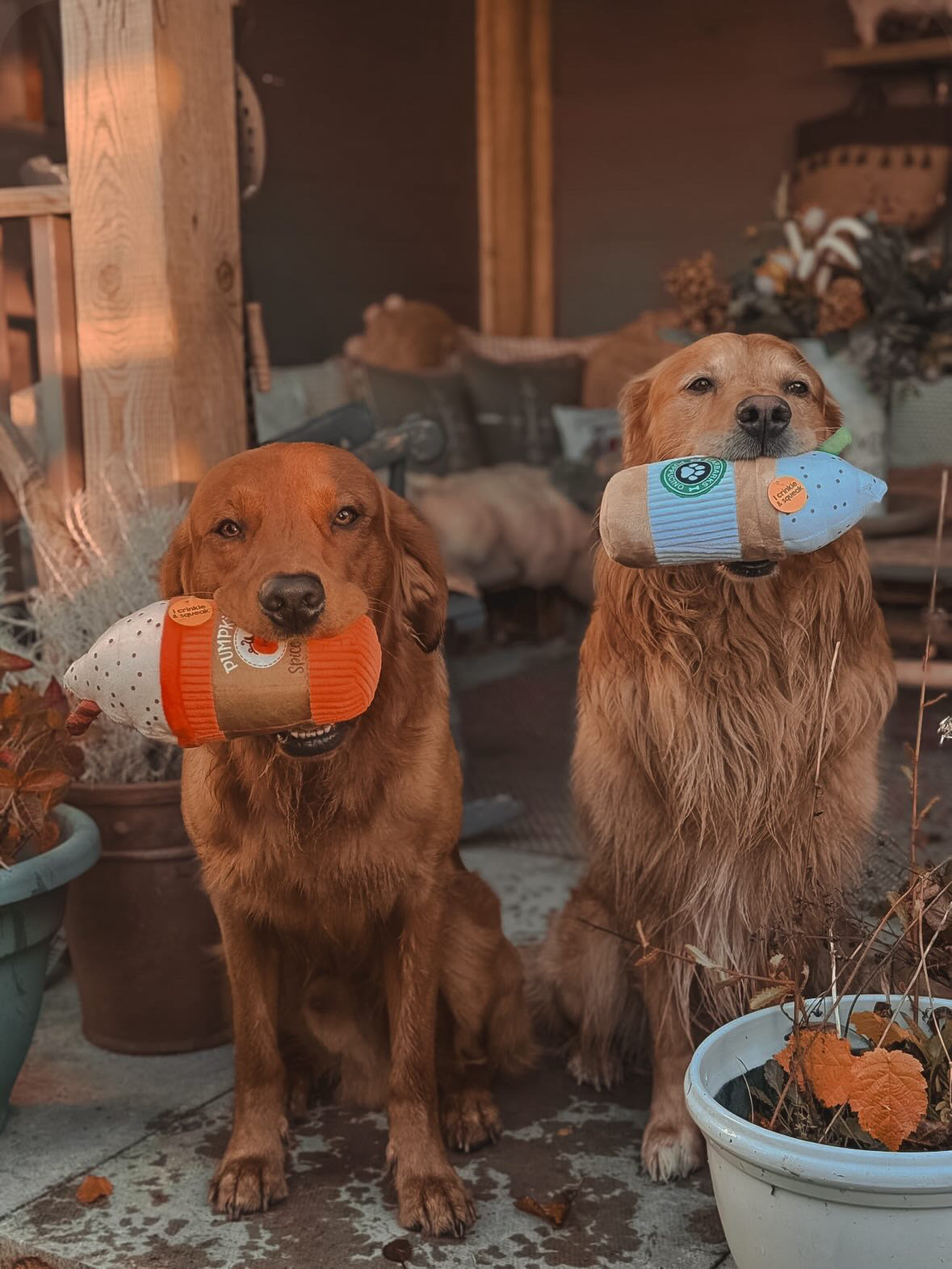 Pumpkin Spice Latte Toy - Free When You Spend £22 or More!