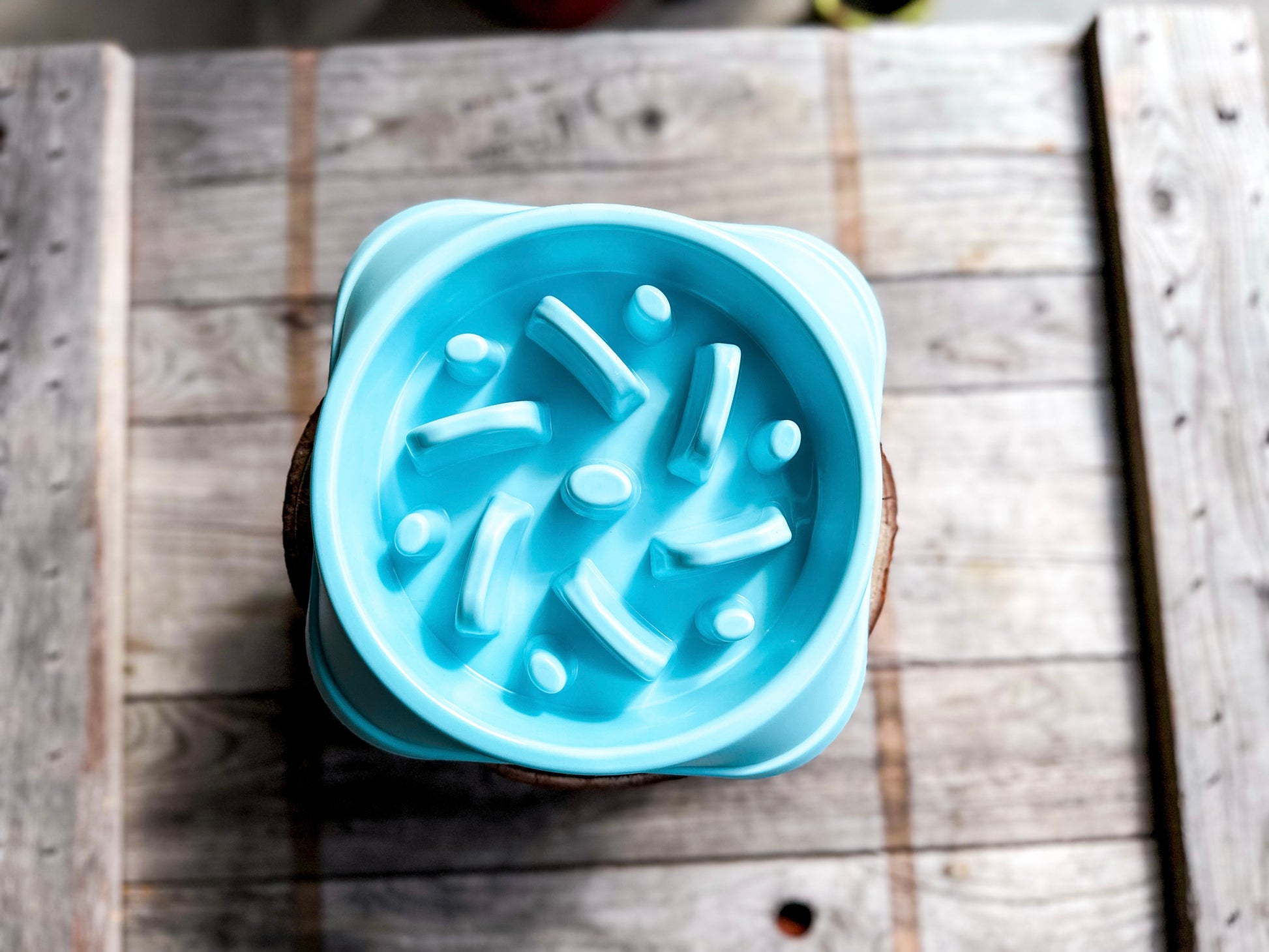 Baby Blue Slow Feeder Bowl - Bodhi & The Birchtree