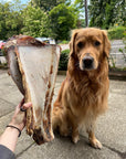 Giant Beef Shoulder With Moon Bone - Bodhi & The Birchtree