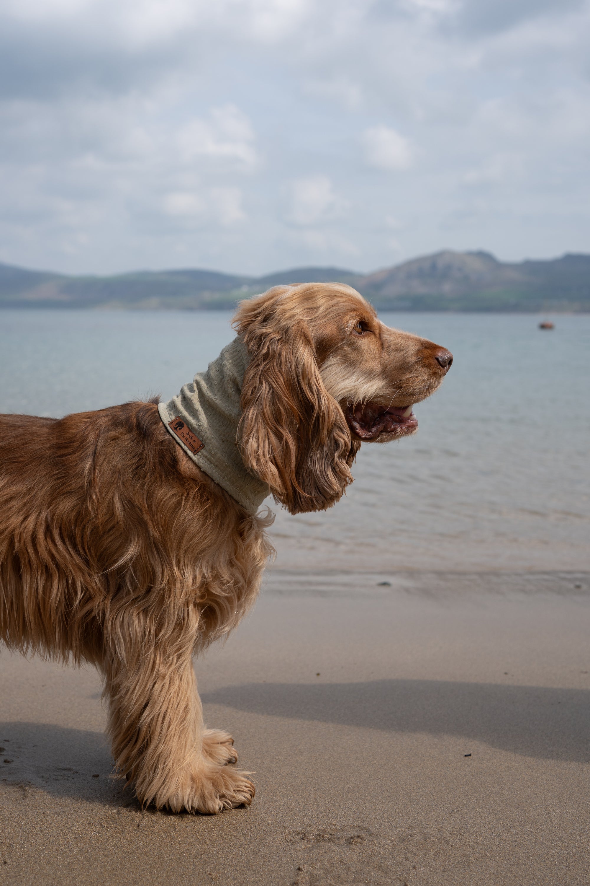 Olive Green Summer Cooling Bandana - Bodhi & The Birchtree