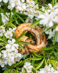Buffalo Collagen Ring - Bodhi & The Birchtree
