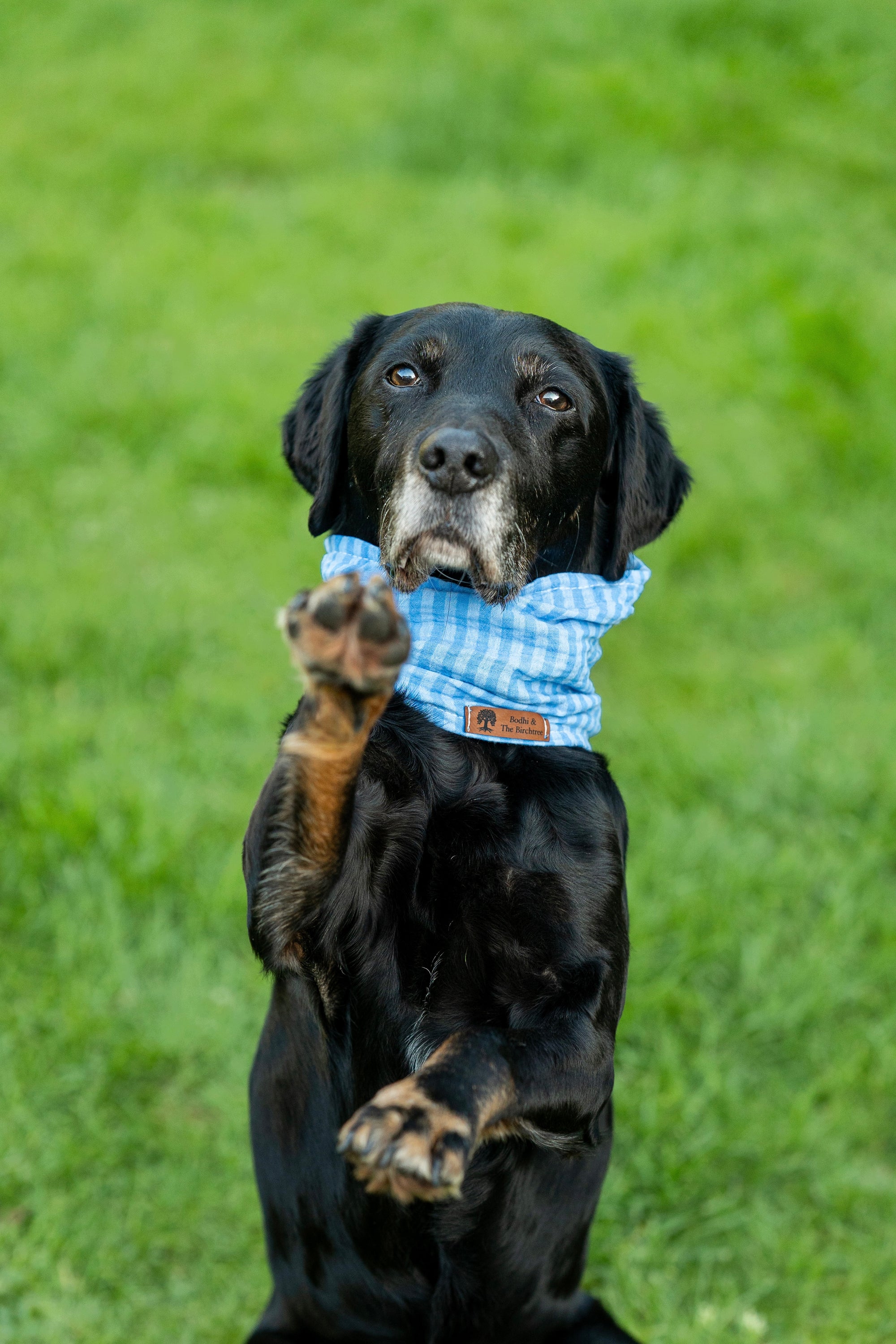 Blue Sky Summer Cooling Snood - Bodhi & The Birchtree