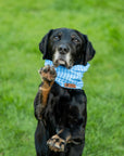 Blue Sky Summer Cooling Snood - Bodhi & The Birchtree