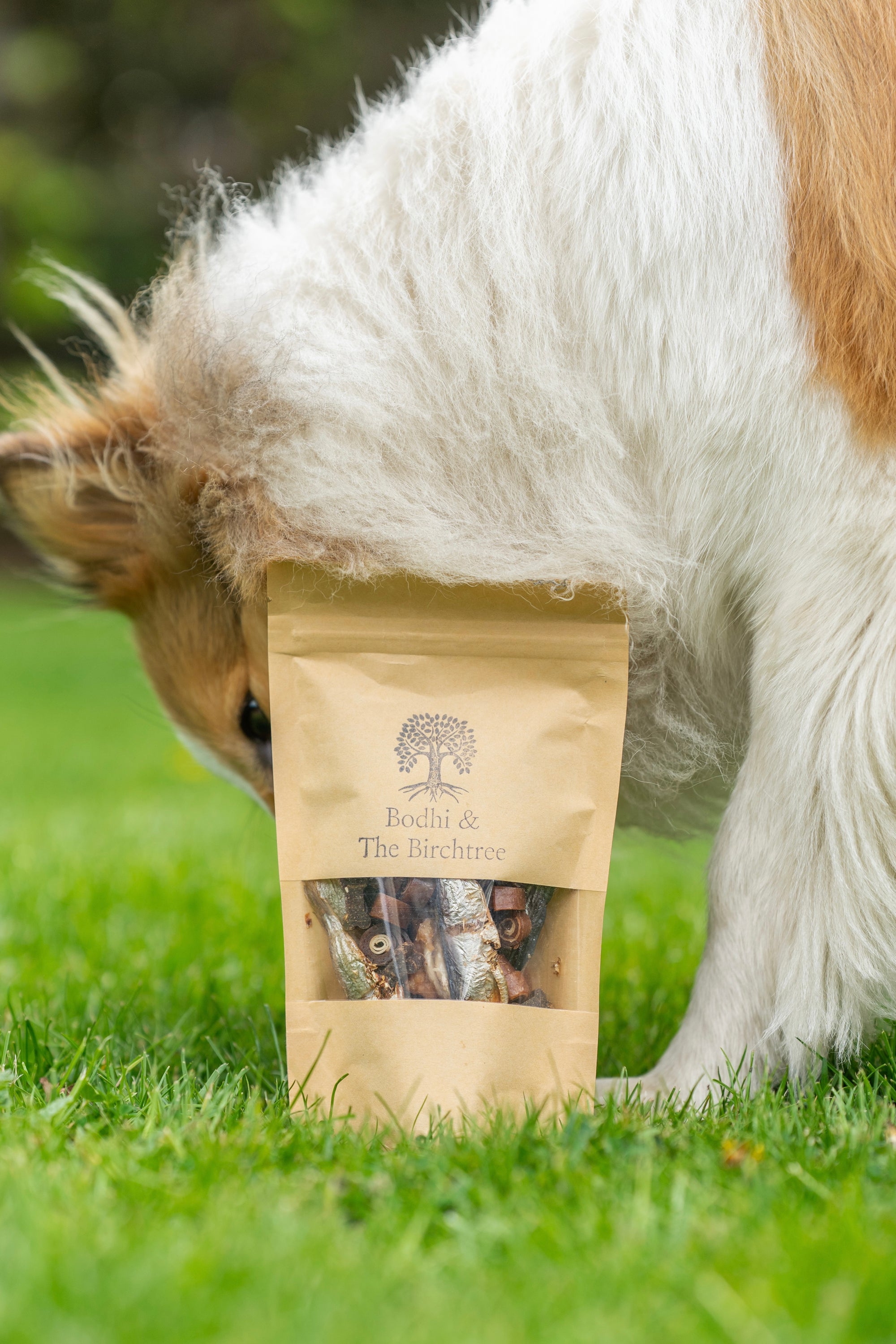 Treat Pick n’ Mix - Bodhi &amp; The Birchtree