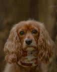 Cosy Fall & Avocado Polar Fleece Snood - Bodhi & The Birchtree
