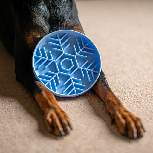 Snowflake Slow Feed Bowl In Ice - Bodhi & The Birchtree