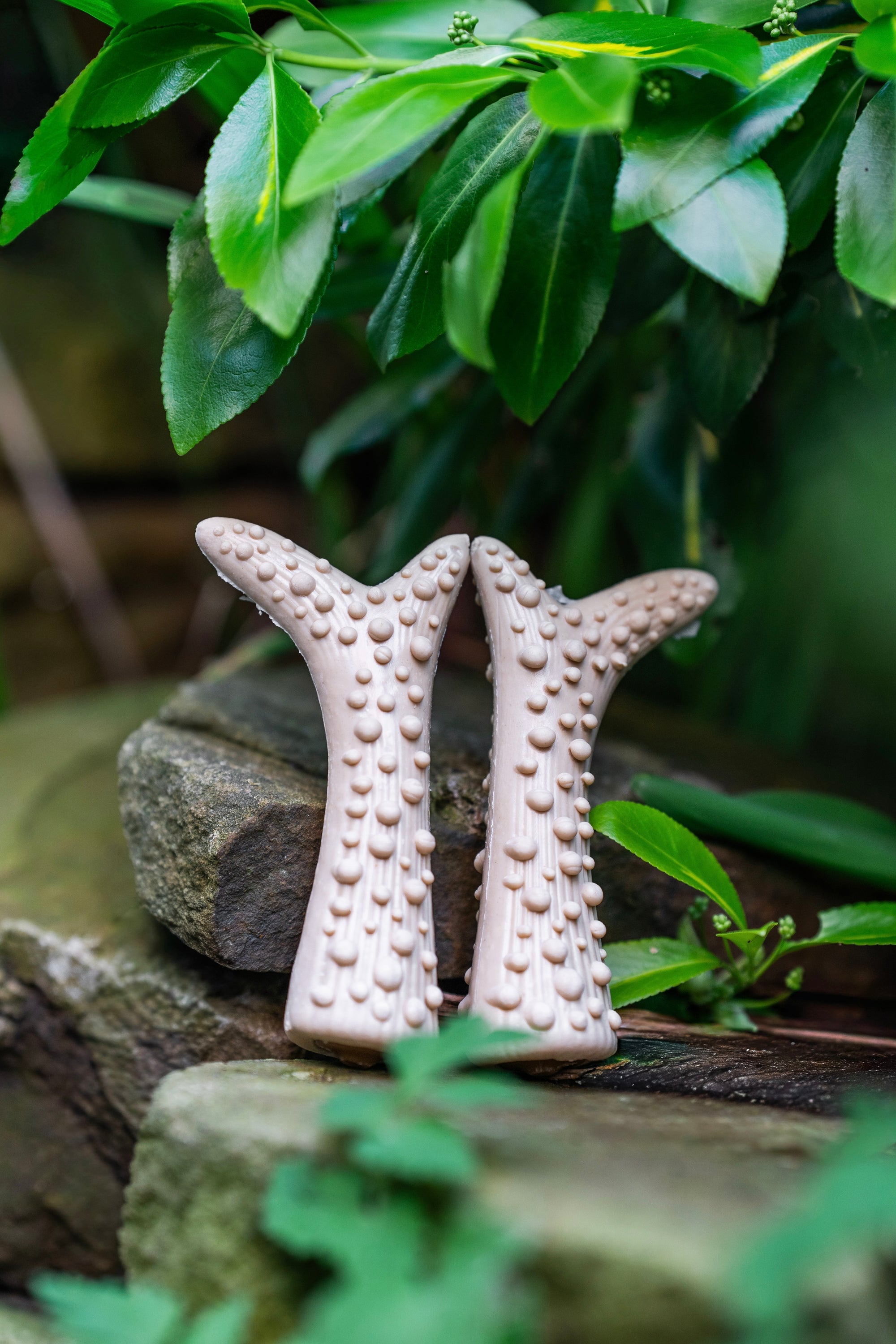 Peanut Butter Filled Antler - Bodhi &amp; The Birchtree
