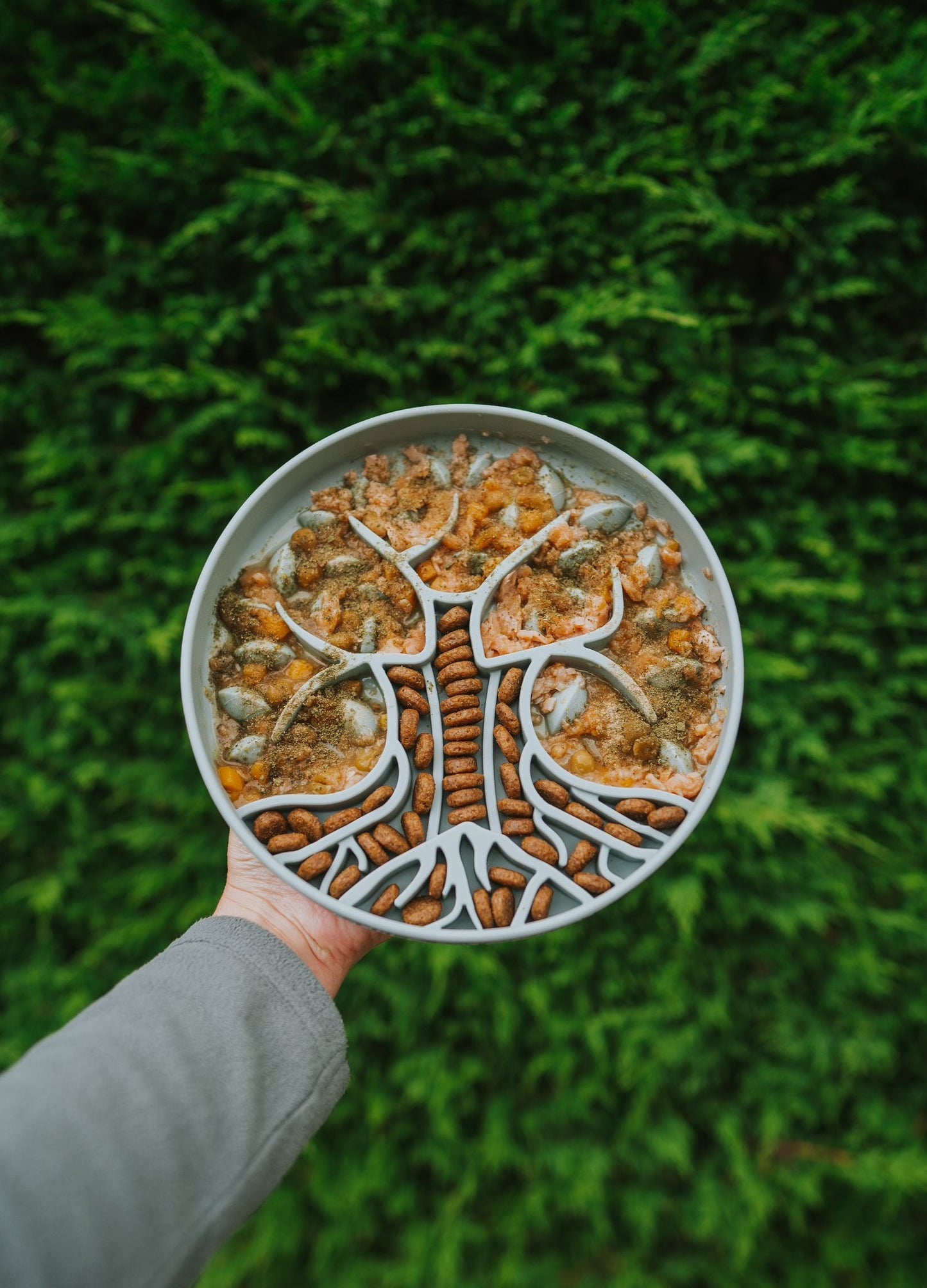 Bodhi & The Birchtree The Evergreen Collection - Alpine Slow Feeder Bowl