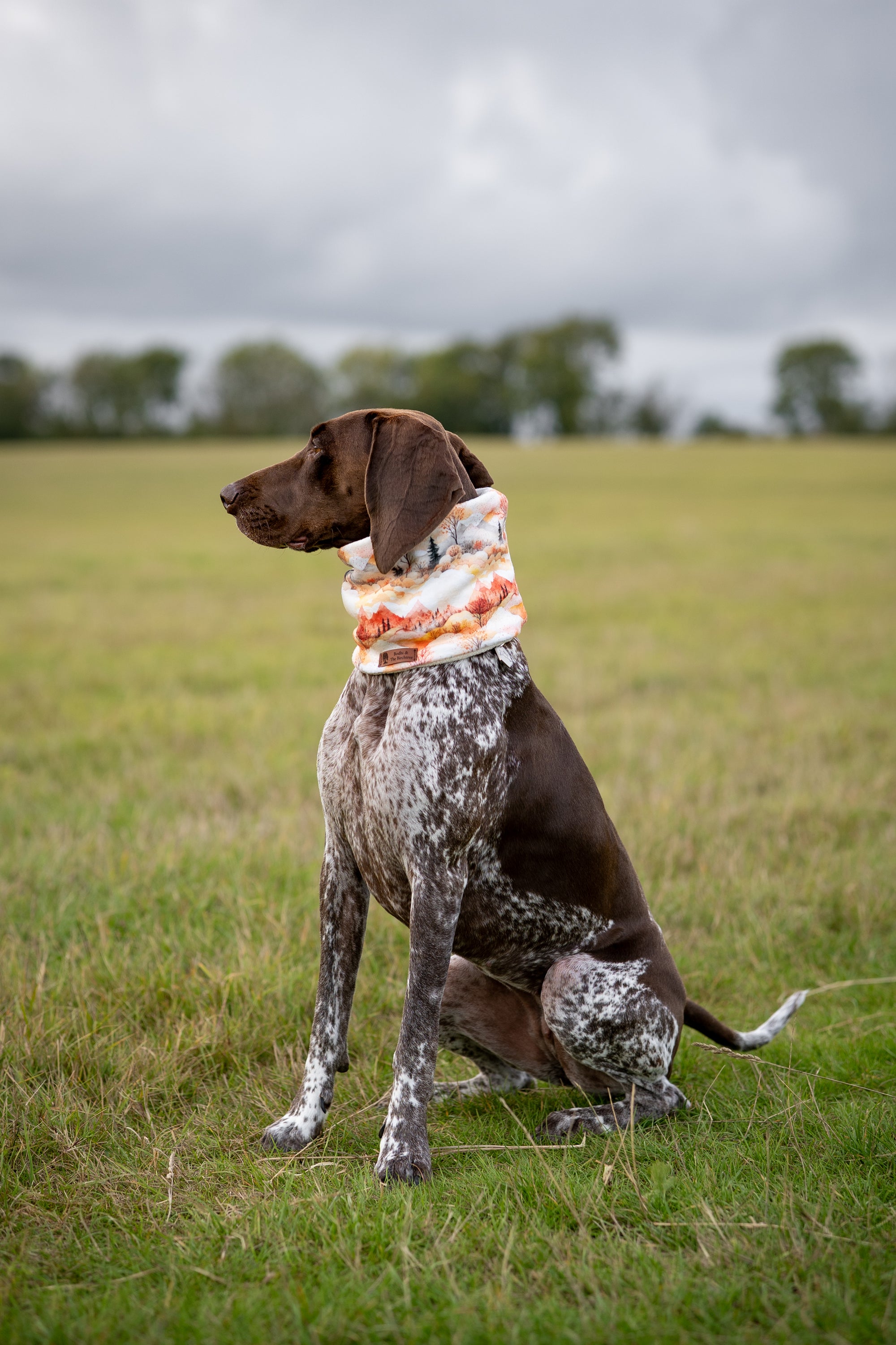 Watercolour Mountains & Cream Polar Fleece Snood - Bodhi & The Birchtree