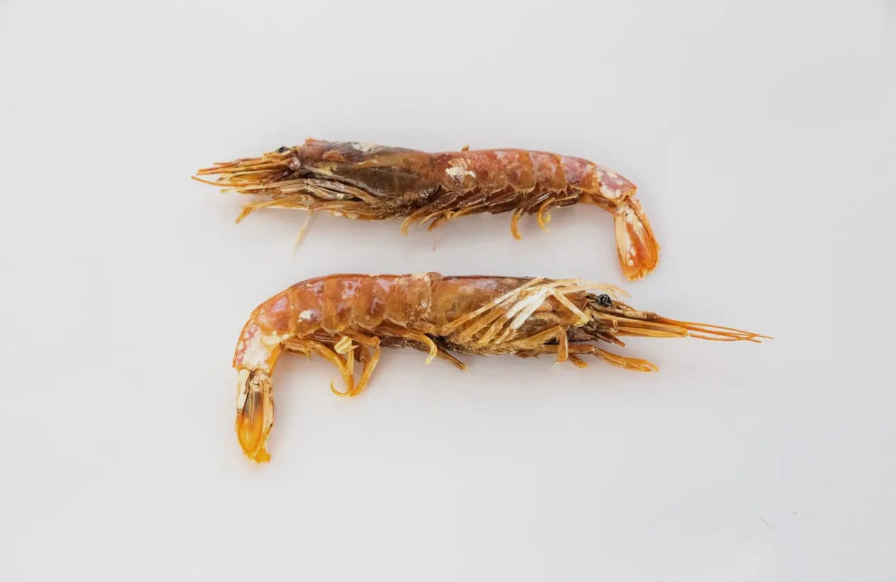 Dehydrated Argentine Red Shrimp - Bodhi & The Birchtree