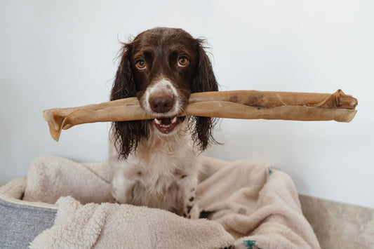 Giant Collagen Roll - Bodhi & The Birchtree