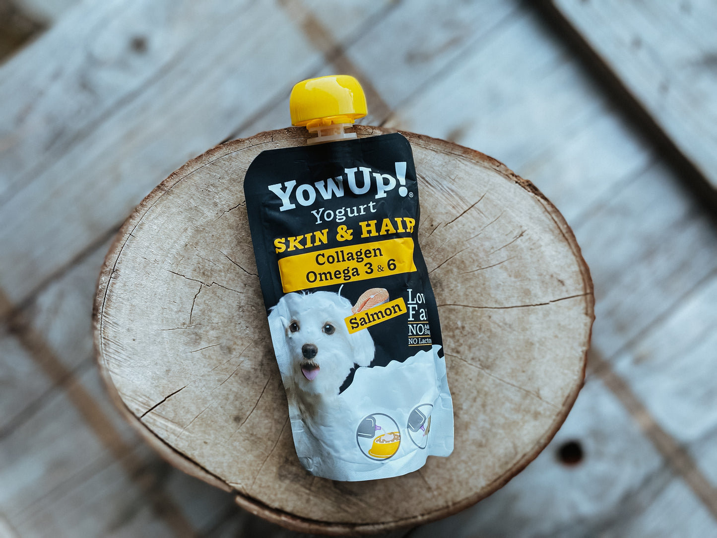 YowUp Dog Yoghurt Skin & Hair With Salmon 115g - Bodhi & The Birchtree