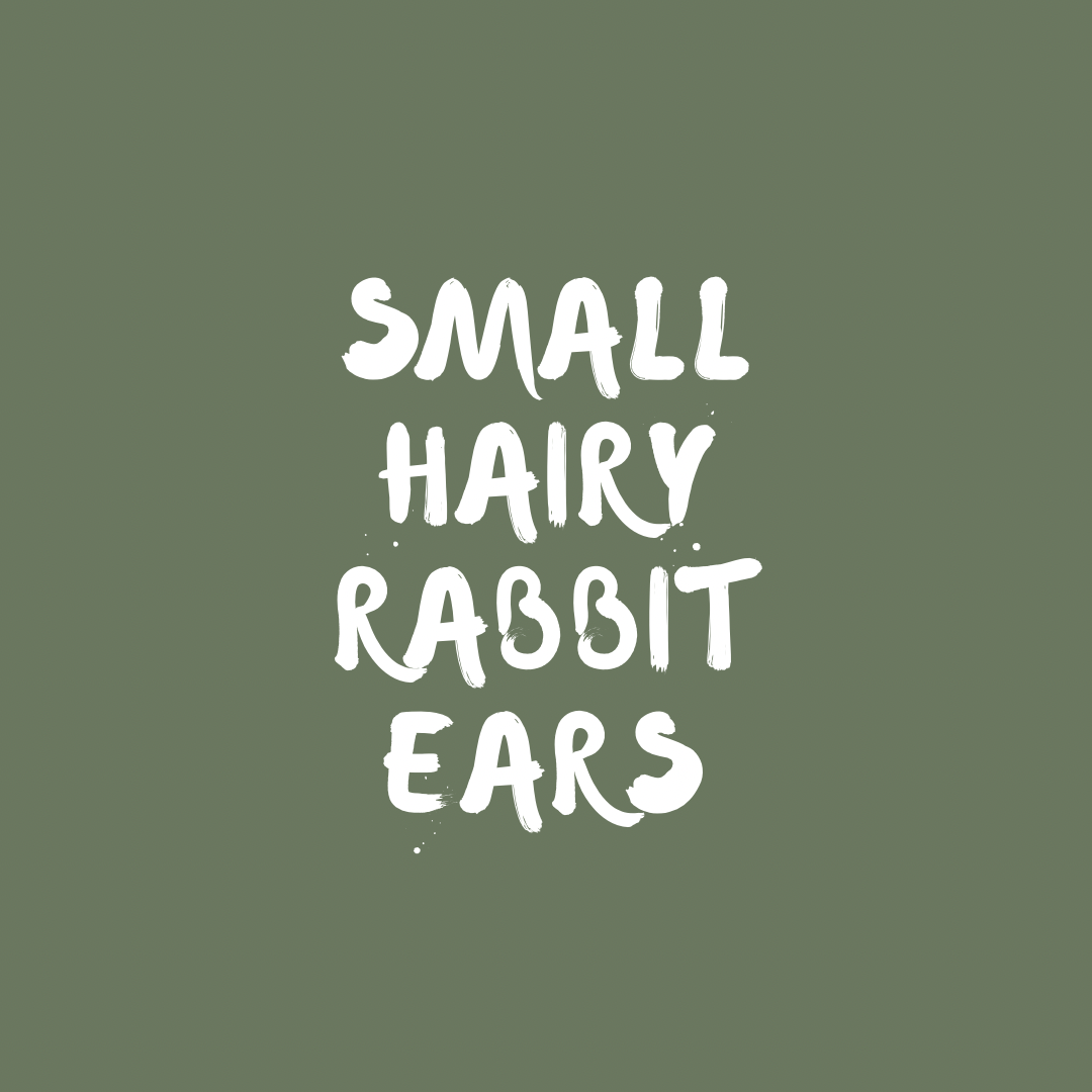 Small Hairy Rabbit Ears