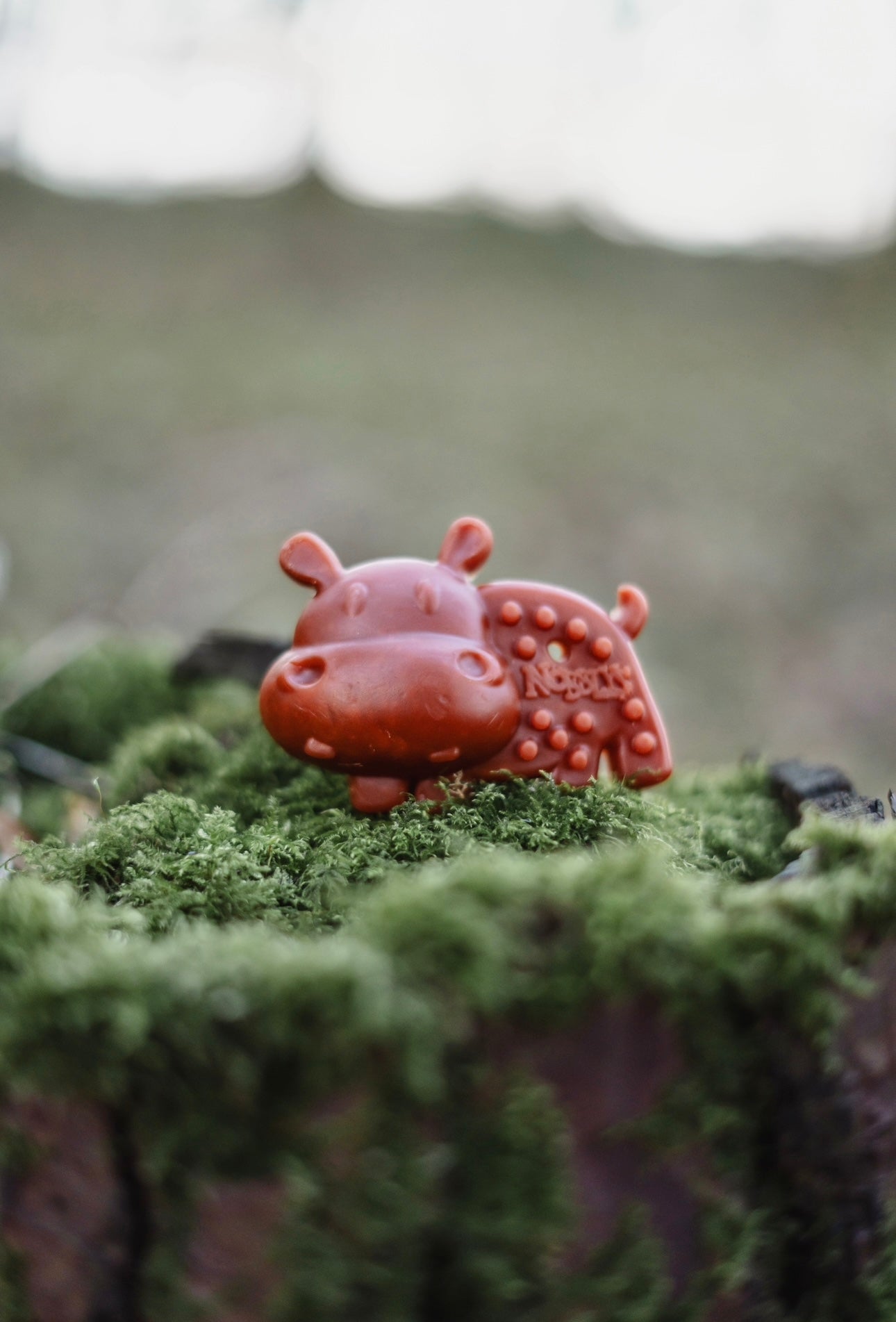 Pumpkin Hippo Veg Chew - Bodhi & The Birchtree