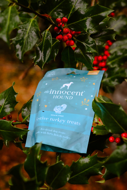 The Innocent Hound Festive Turkey Treats - Bodhi & The Birchtree