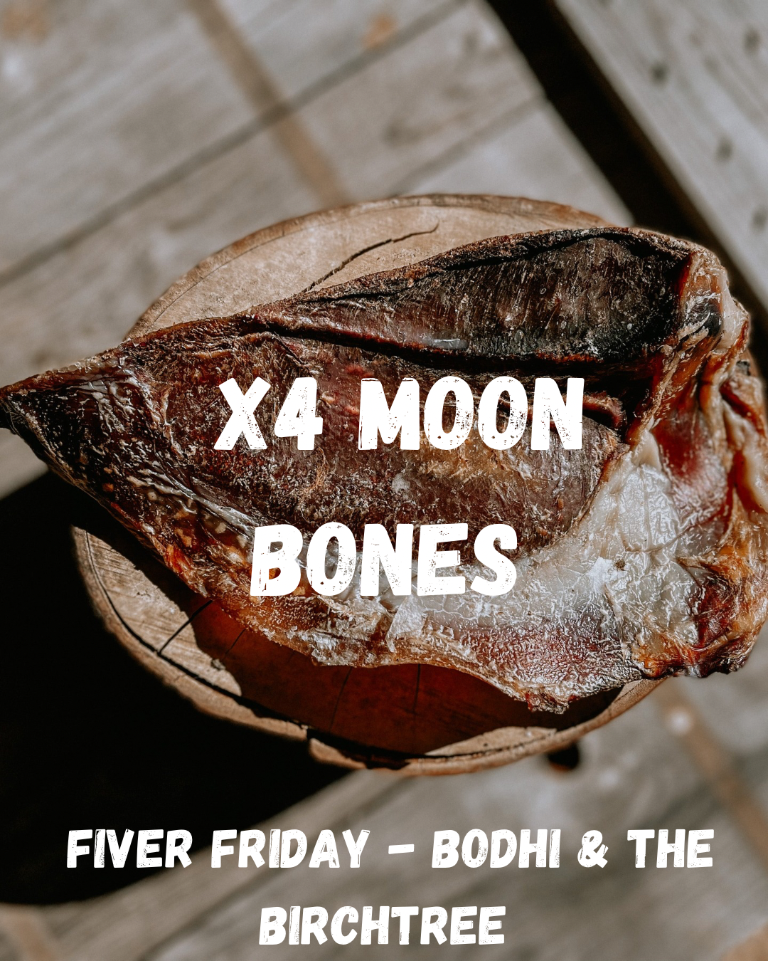 X4 Moon Bones - Fiver Friday - Bodhi & The Birchtree