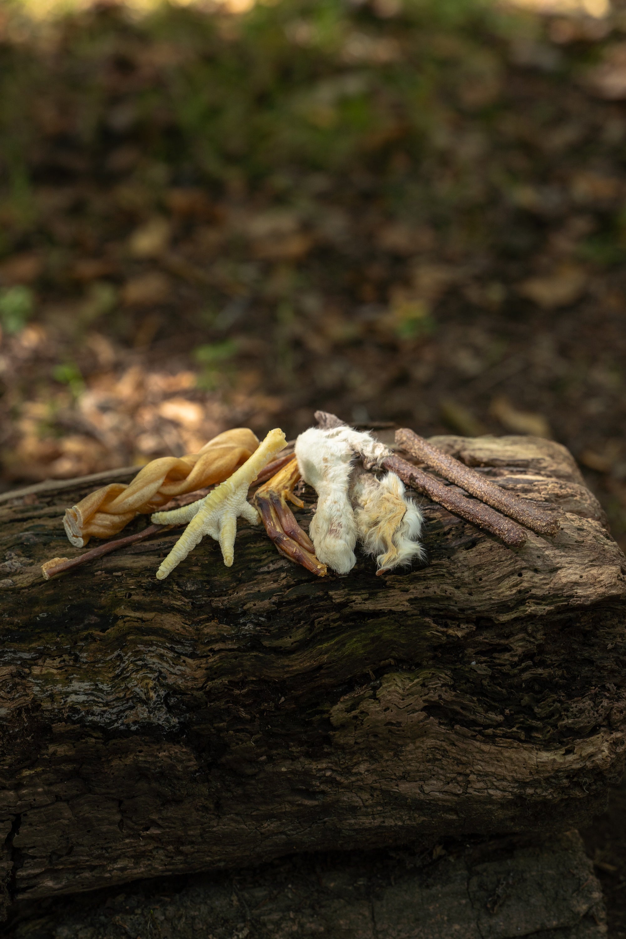 Bodhi & The Birchtree Young Explorers Nab Bag - Bodhi & The Birchtree