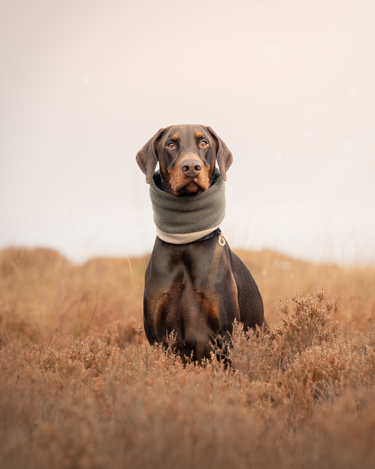 Bodhi & The Birchtree Khaki Green Fleece Snood