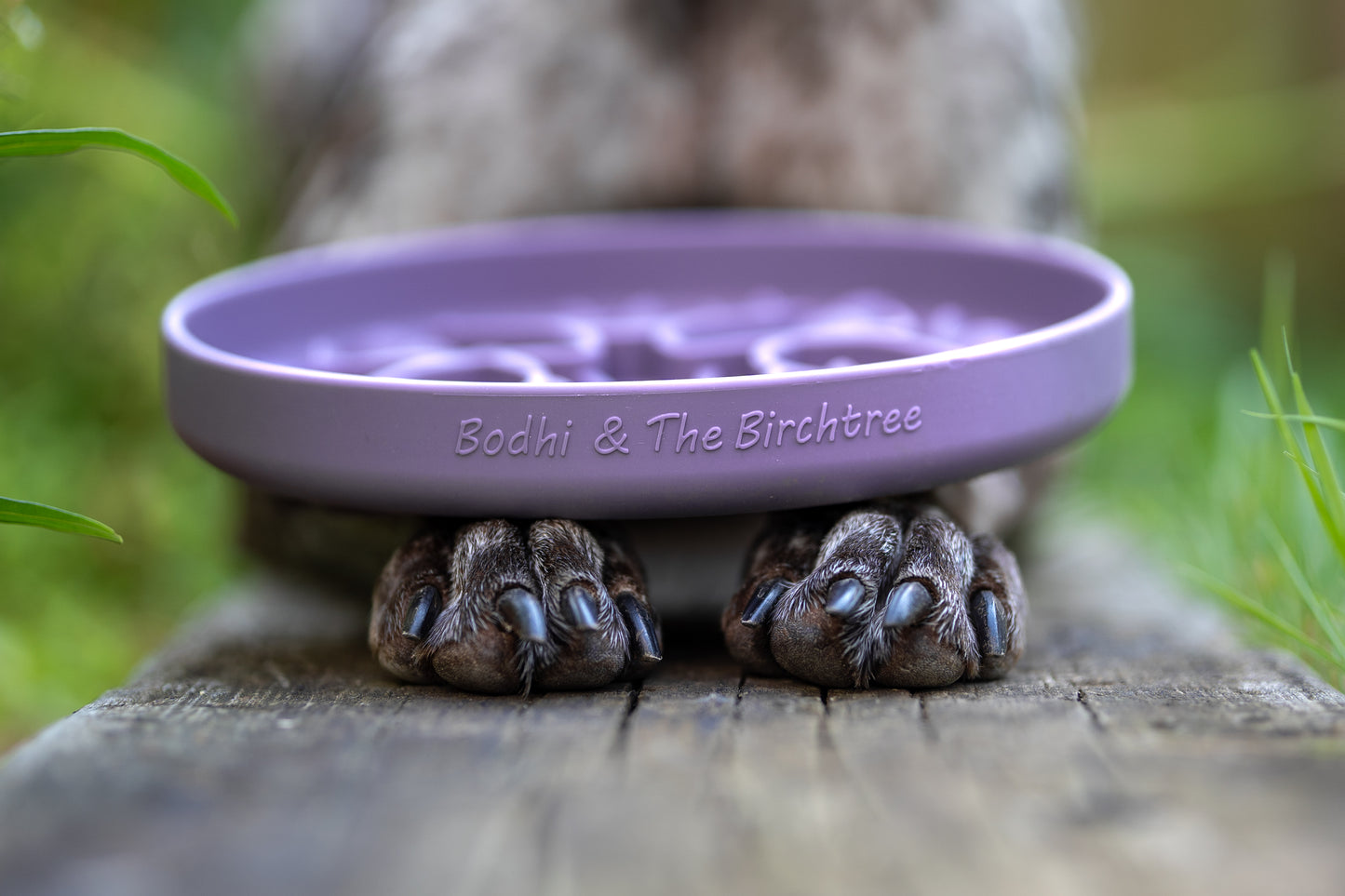 Bodhi & The Birchtree The Evergreen Collection - Damson Slow Feeder Bowl