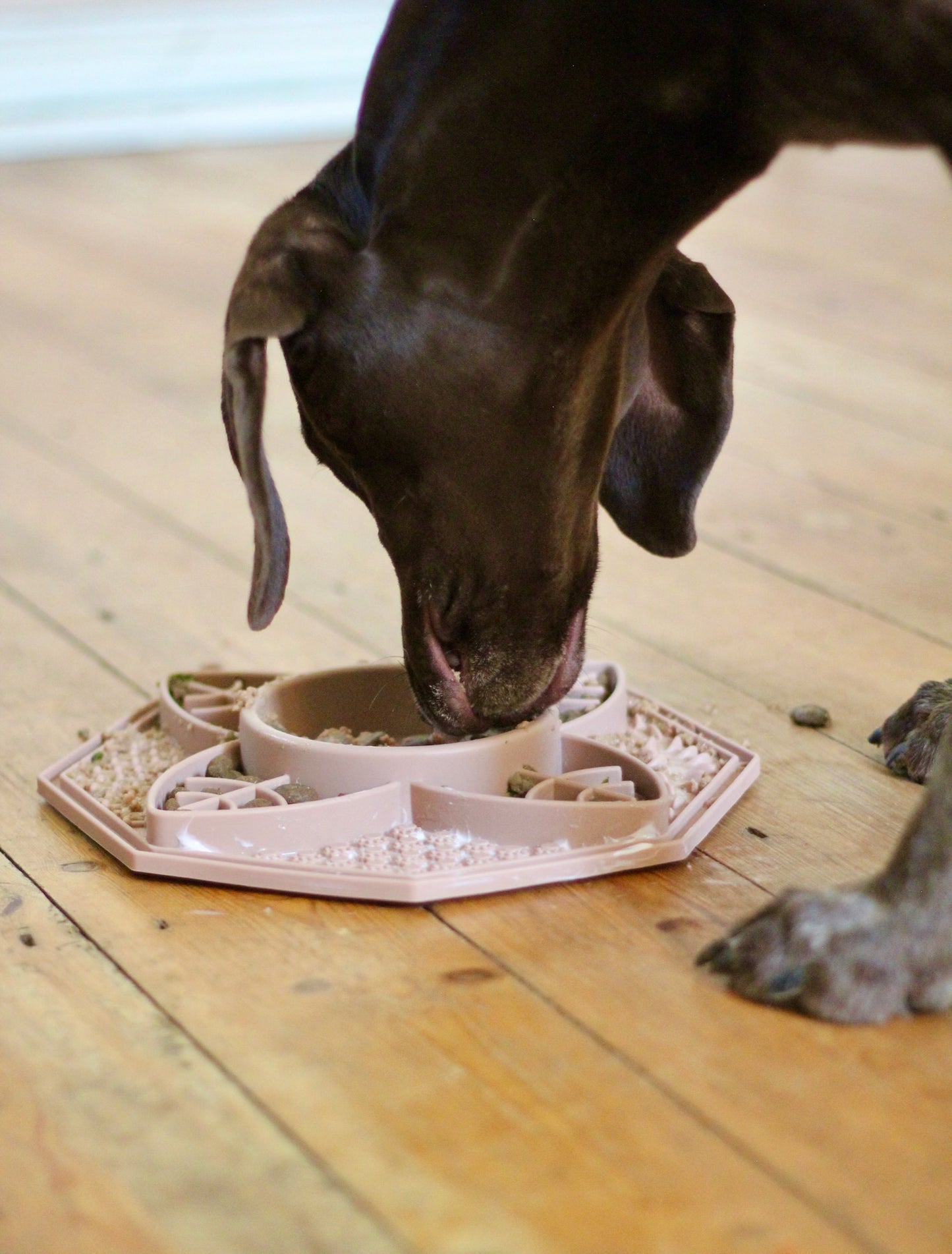 Bodhi & The Birchtree Mandala Slow Feeder In Dusky Pink - Bodhi & The Birchtree