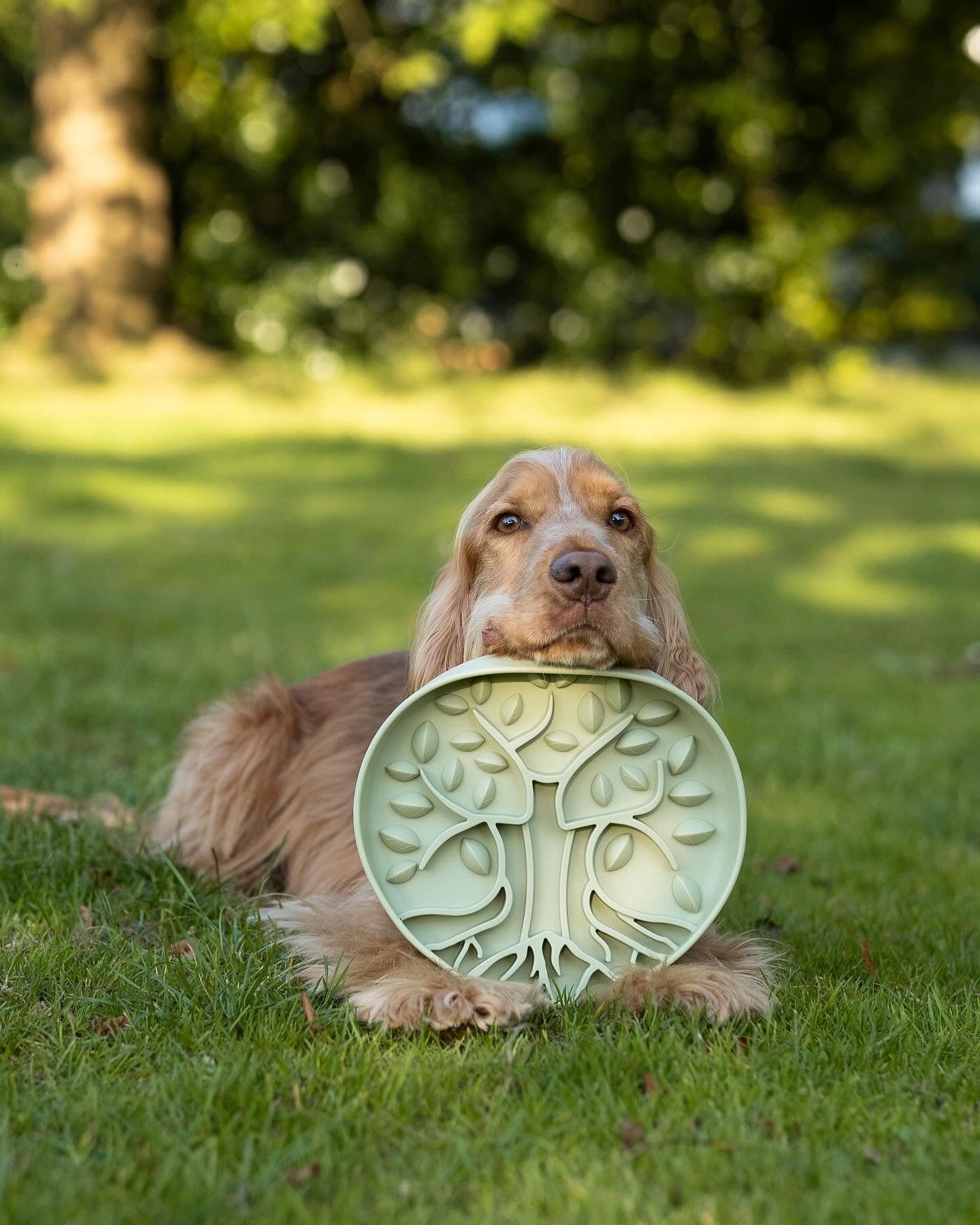 Bodhi & The Birchtree The Evergreen Collection - Foliage Slow Feeder Bowl