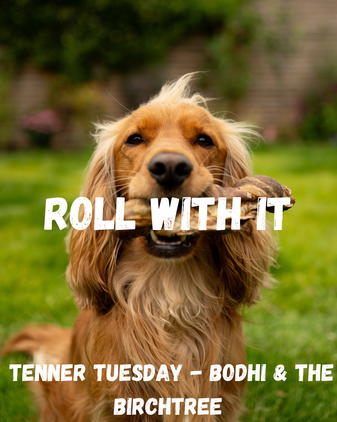 Roll With It - Fiver Friday - Bodhi & The Birchtree