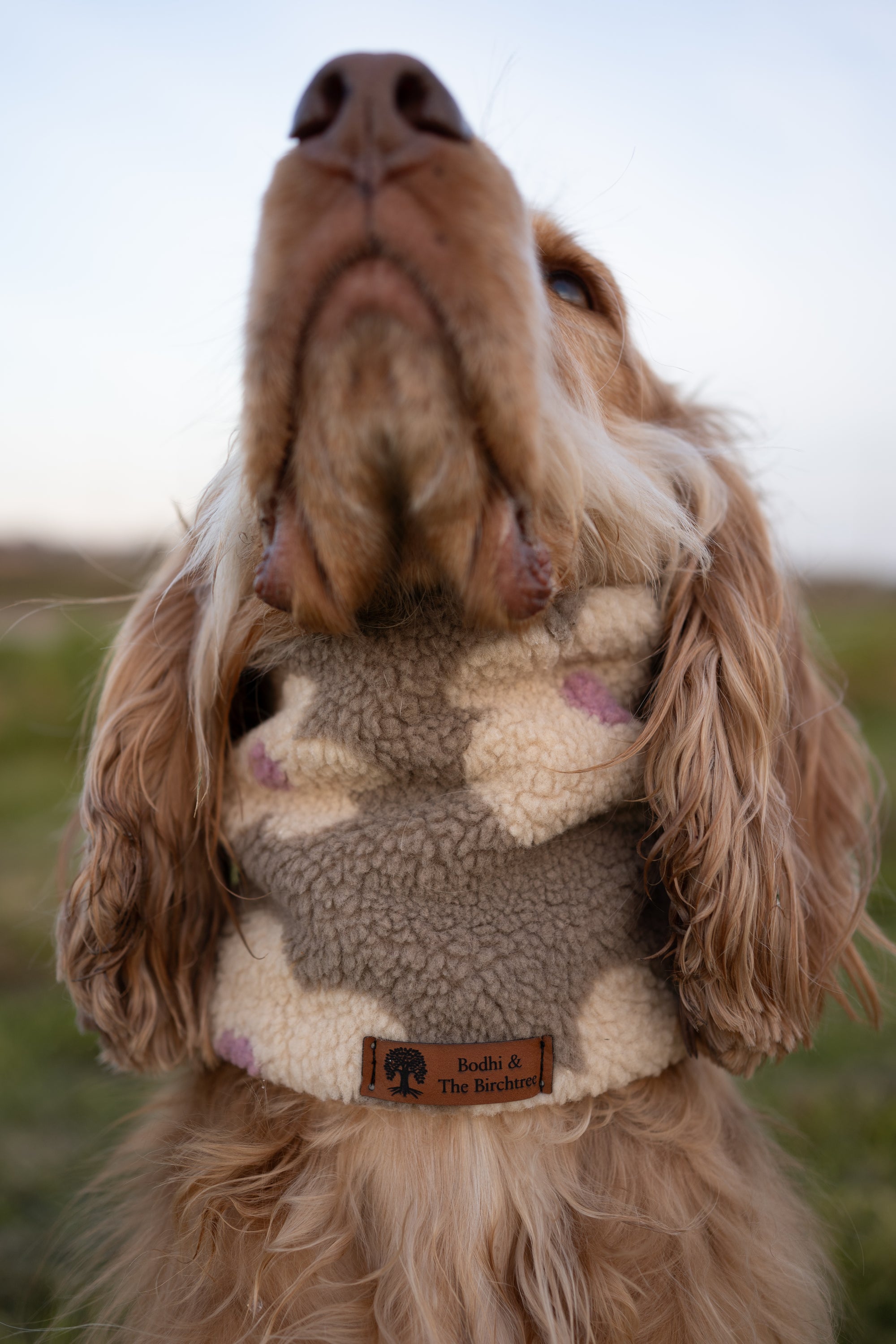 Teddy Fleece Flowers Snood - Taupe - Bodhi & The Birchtree