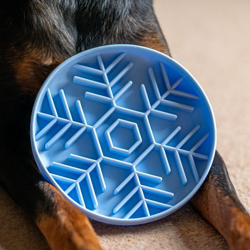 Snowflake Slow Feed Bowl In Ice - Bodhi & The Birchtree