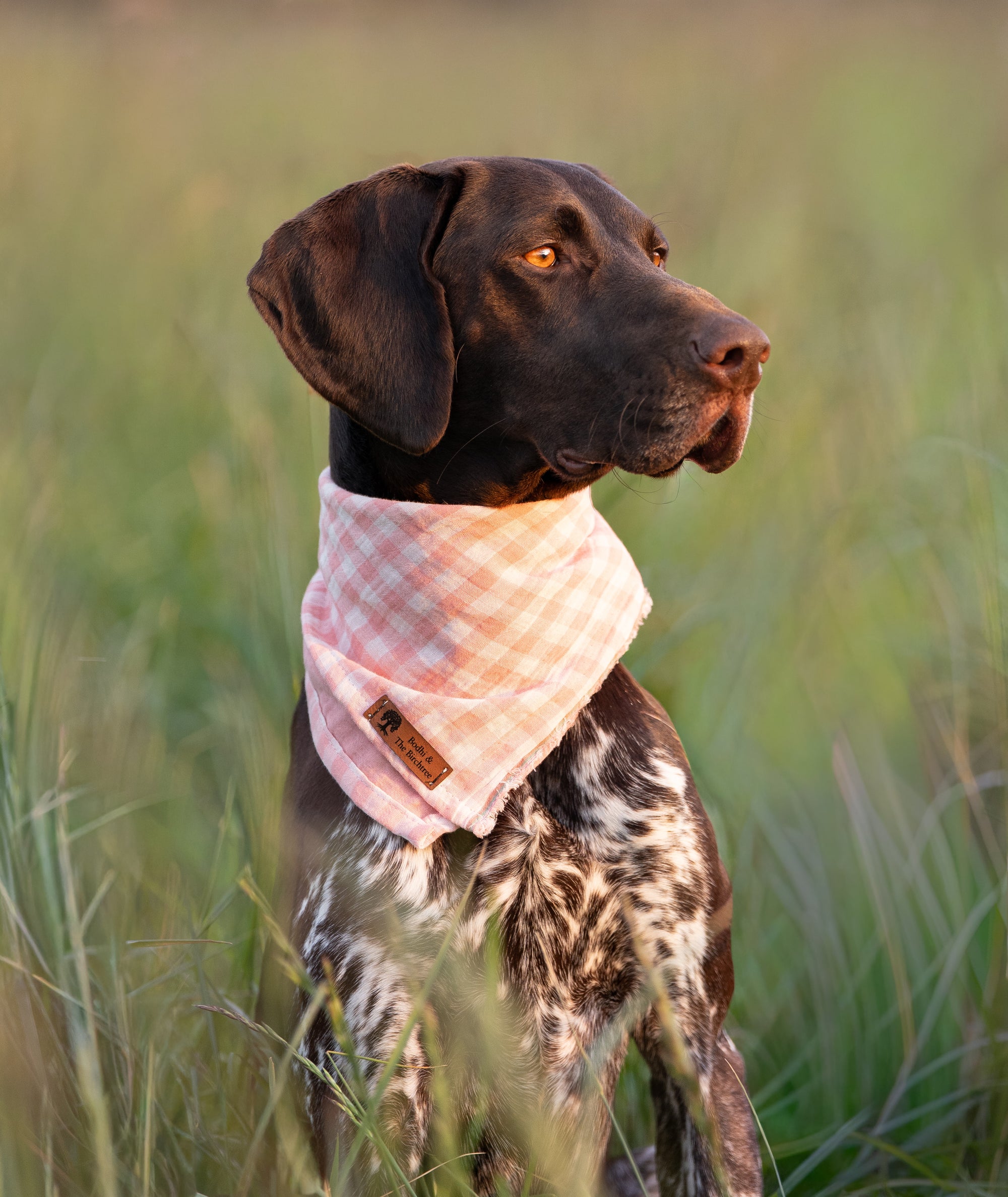 Pink Gingham Summer Cooling Bandana - Bodhi & The Birchtree