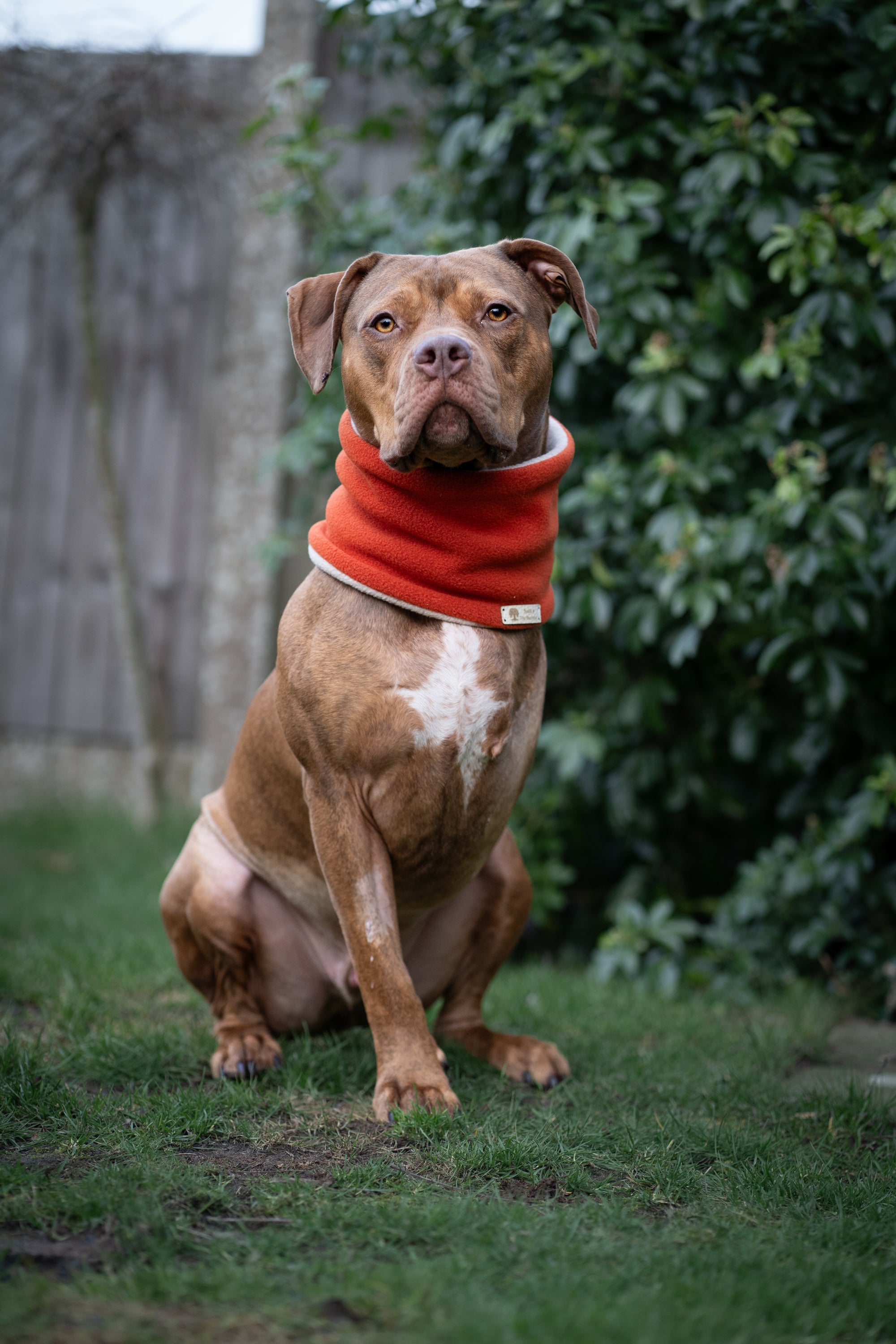 Bodhi & The Birchtree Burnt Orange Fleece Snood - Bodhi & The Birchtree