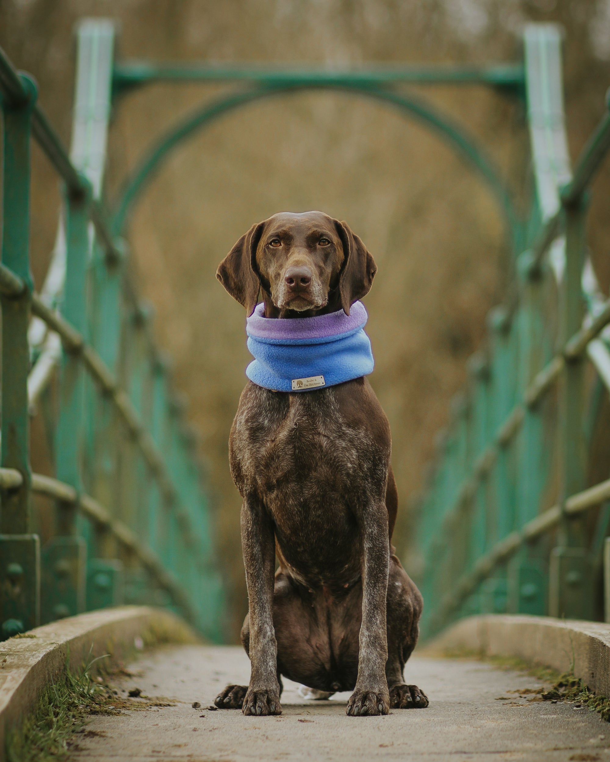 Limited Edition ‘The Nellie’ Dark Sky &amp; Lilac Polar Fleece Snood - Bodhi &amp; The Birchtree