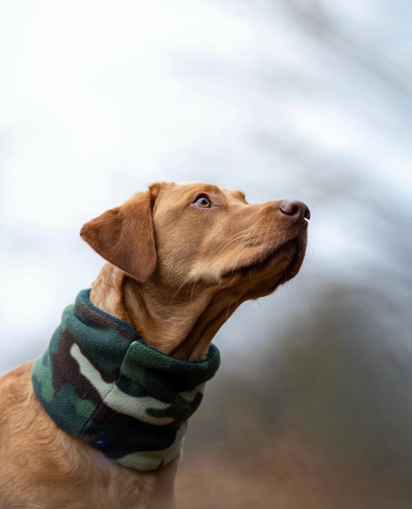 Camouflage & Dark Bottle Polar Fleece Snood - Bodhi & The Birchtree