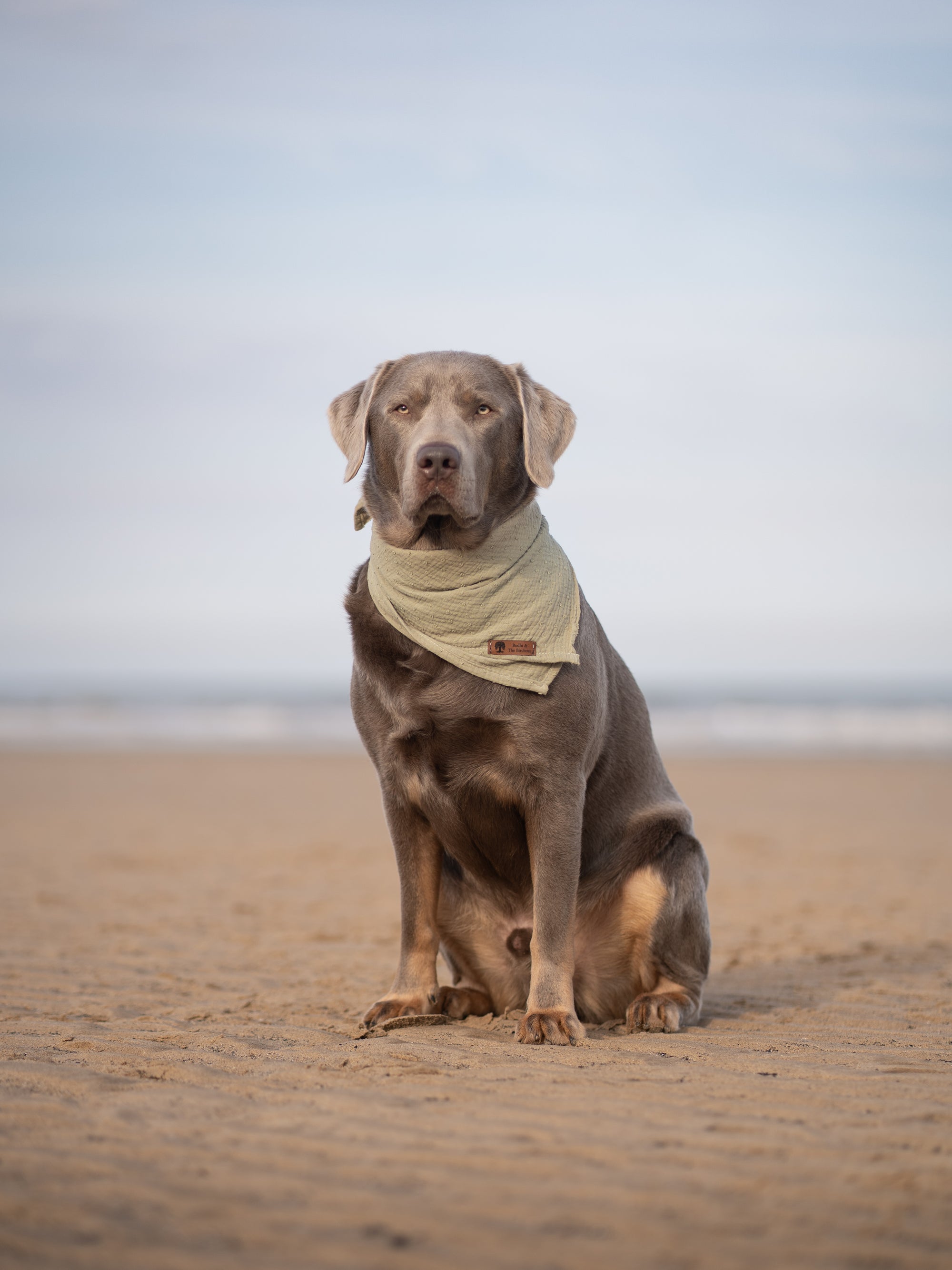 Olive Green Summer Cooling Bandana - Bodhi & The Birchtree